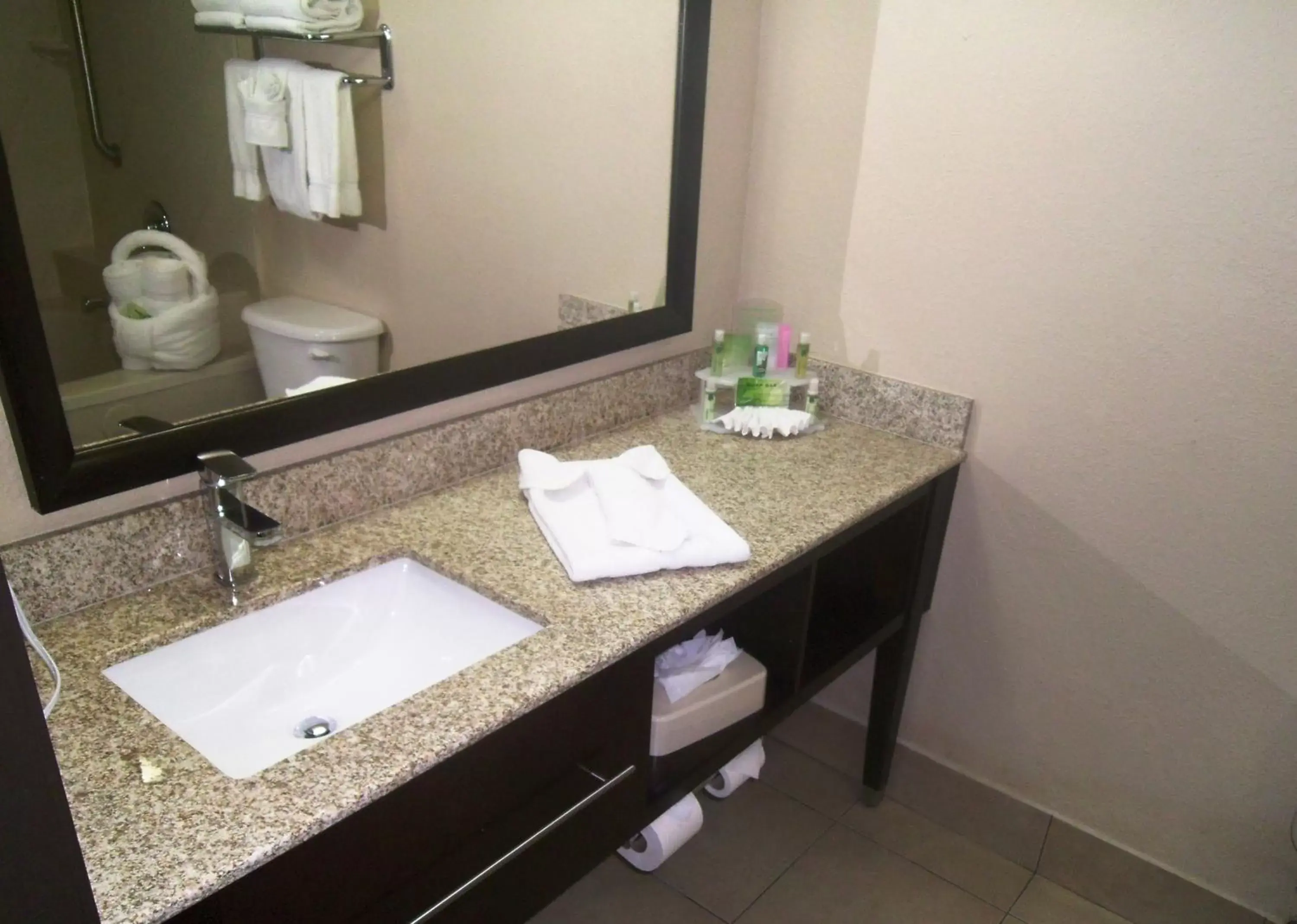 Bathroom in Holiday Inn Express Hotel & Suites Orange City - Deltona, an IHG Hotel