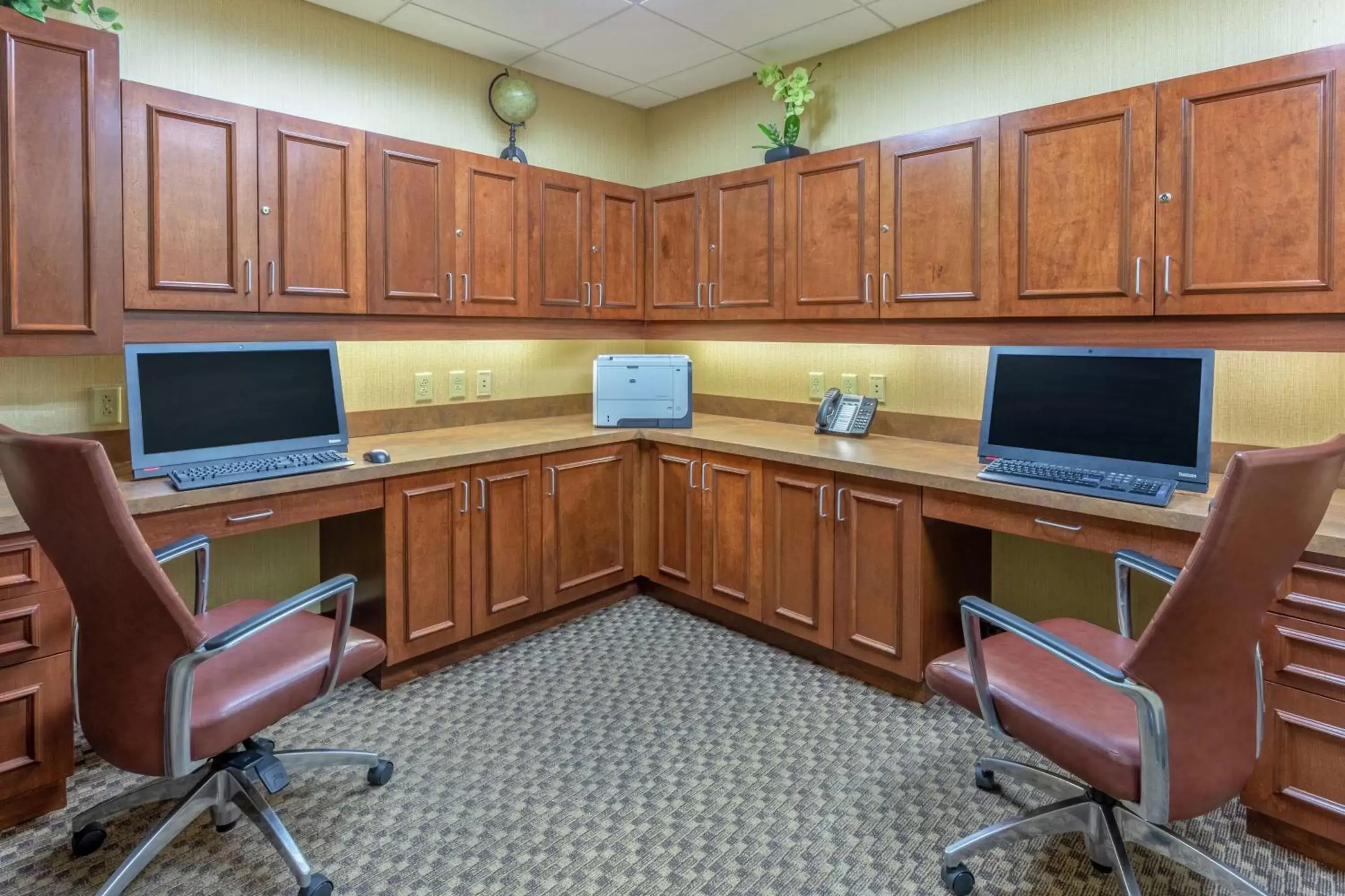 Business facilities, TV/Entertainment Center in Hampton Inn Owings Mills