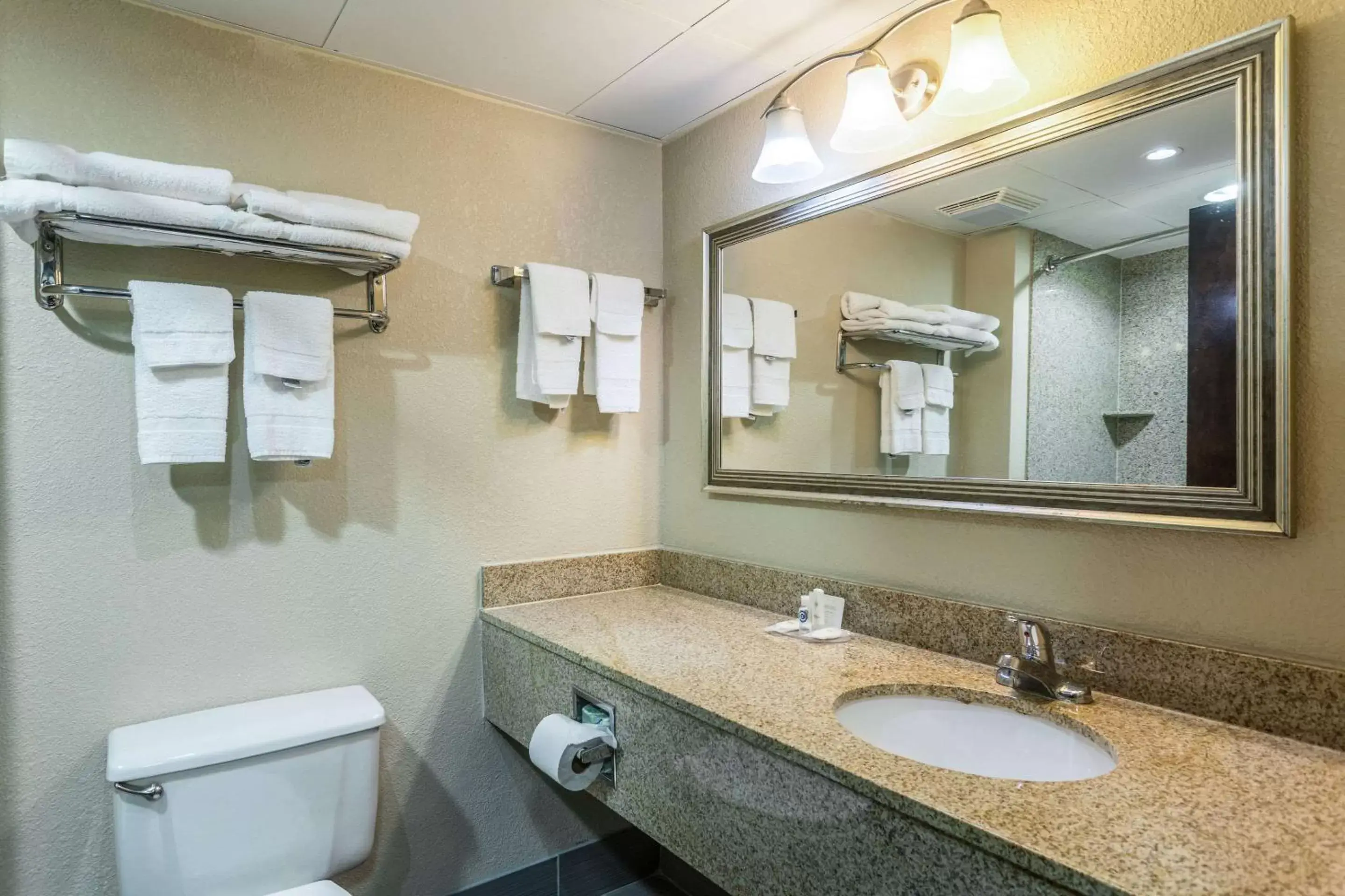 Bathroom in Comfort Inn Decatur Priceville