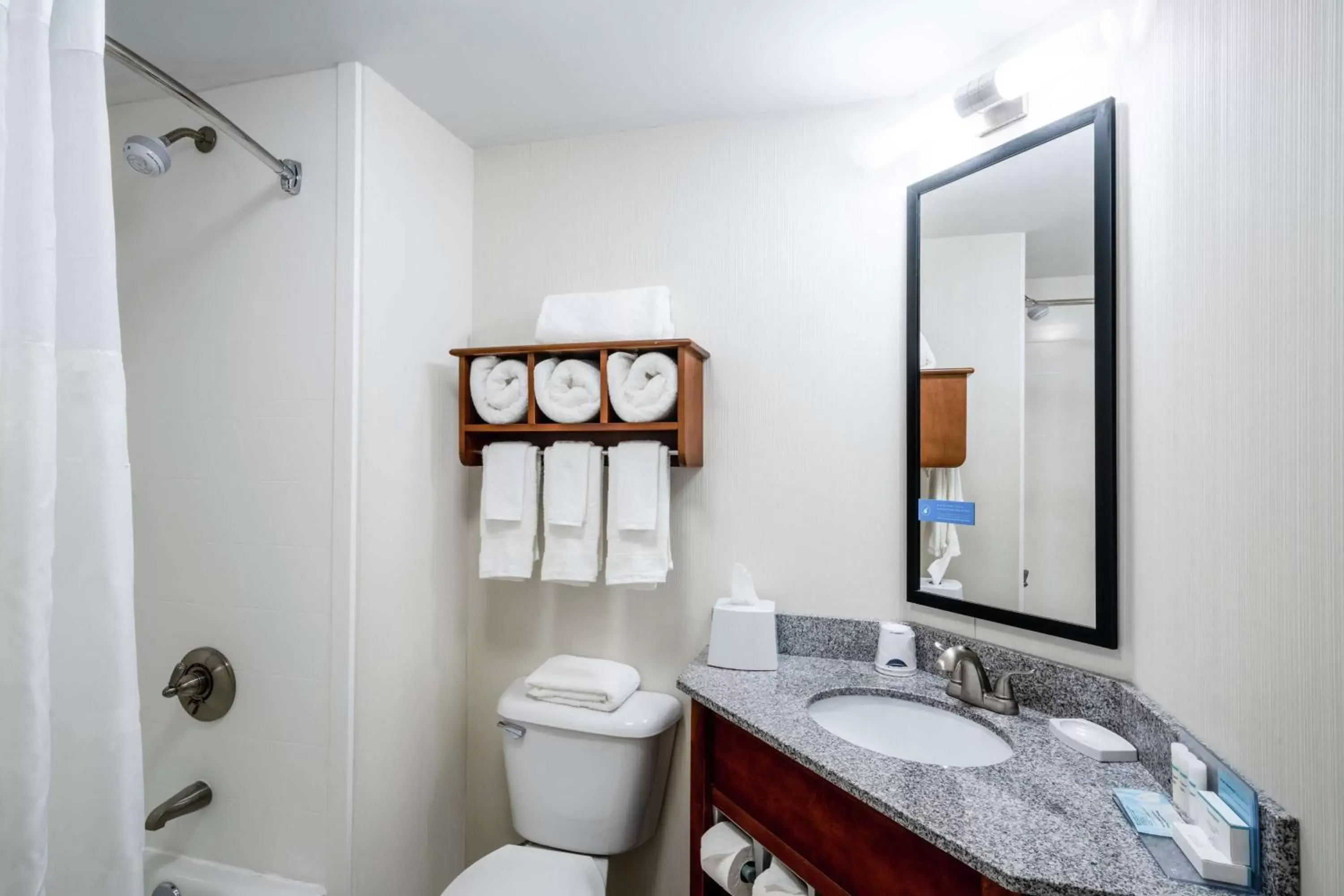 Bathroom in Hampton Inn & Suites Mooresville