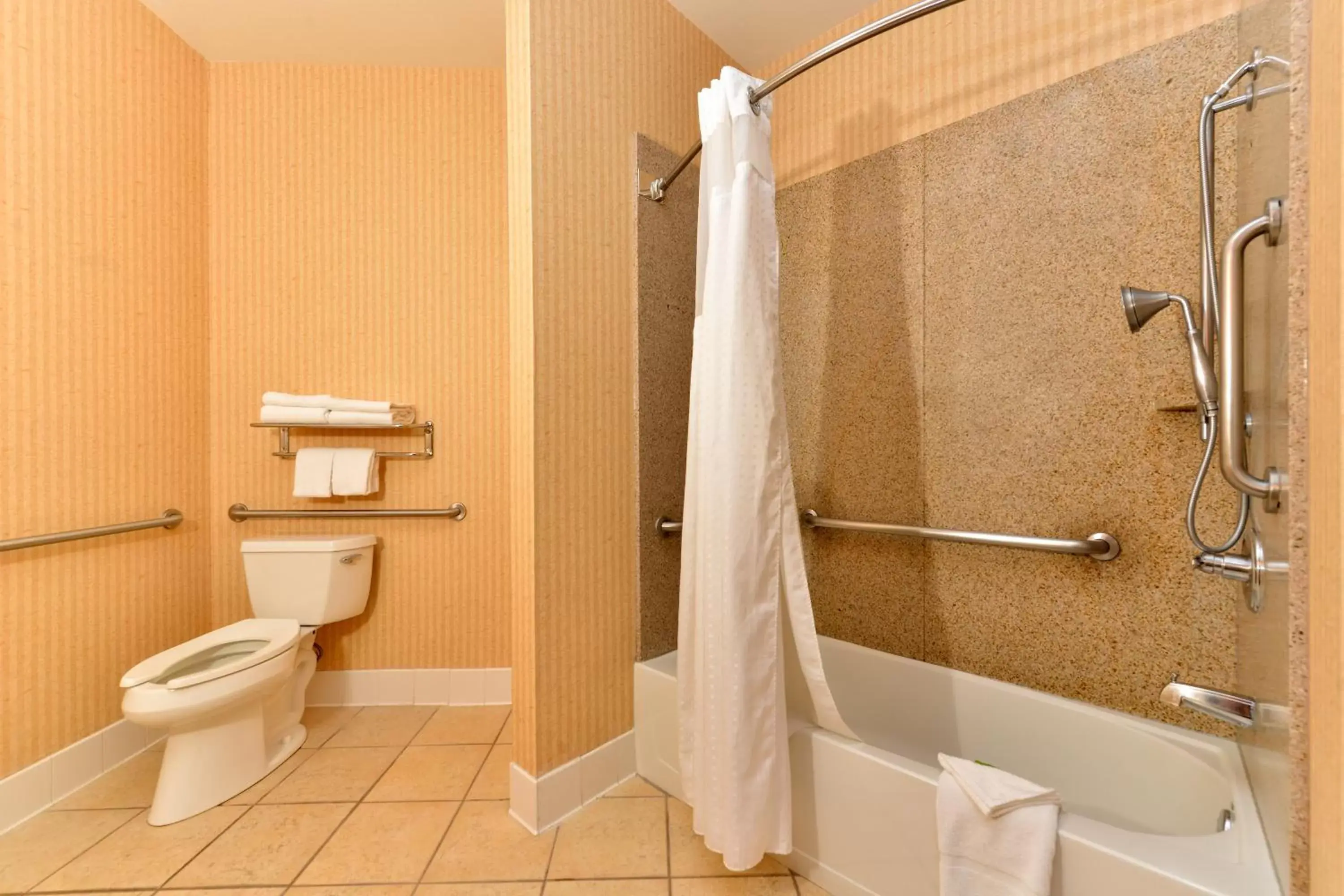 Bathroom in HOLIDAY INN EXPRESS & SUITES ELK GROVE CENTRAL - HWY 99, an IHG Hotel