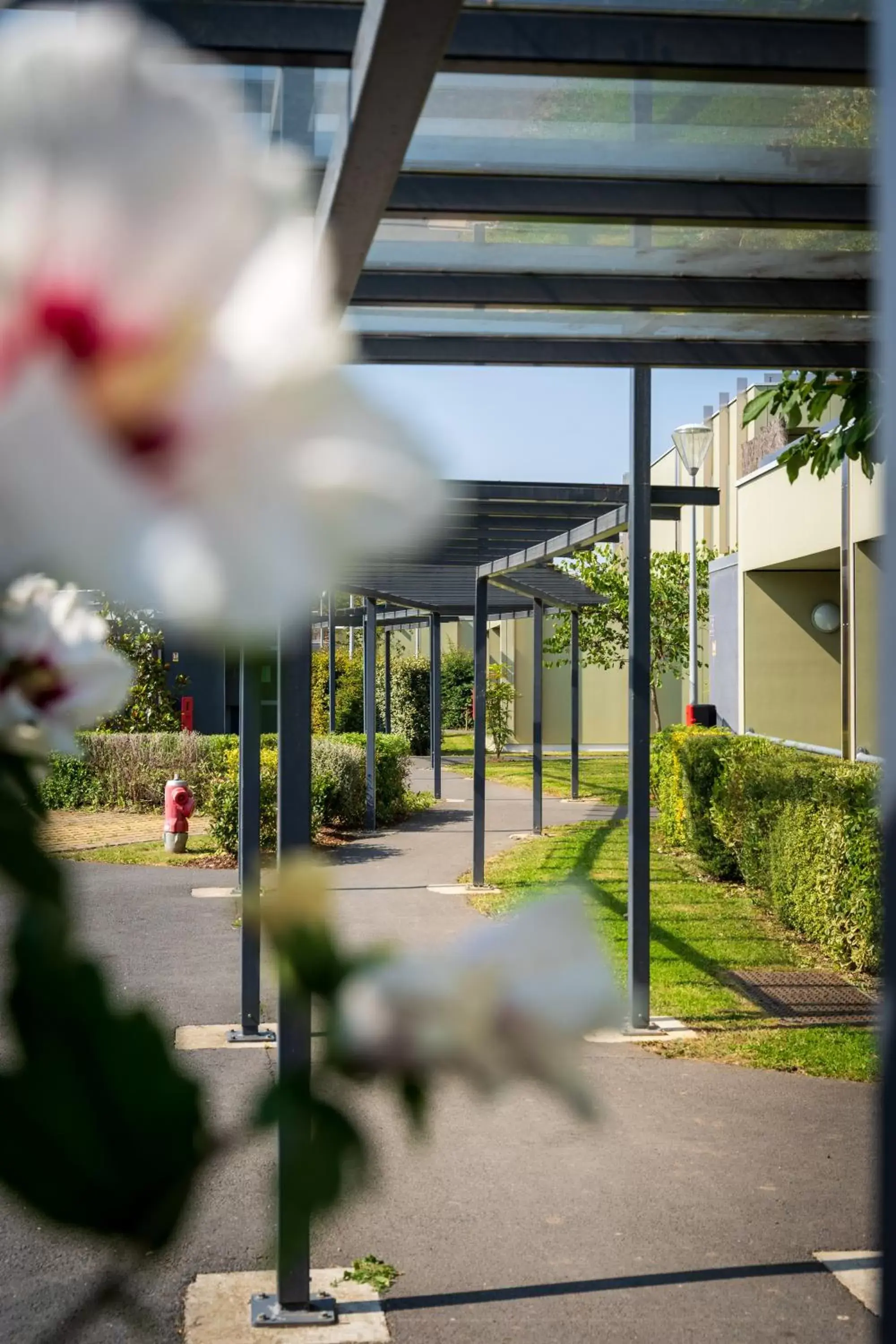 Garden in Hotel Libera Caen Colombelles