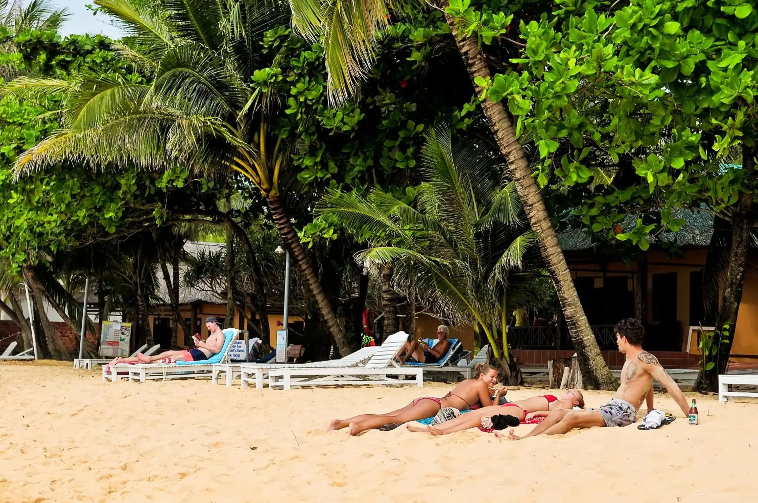 Beach in Sea Star Resort