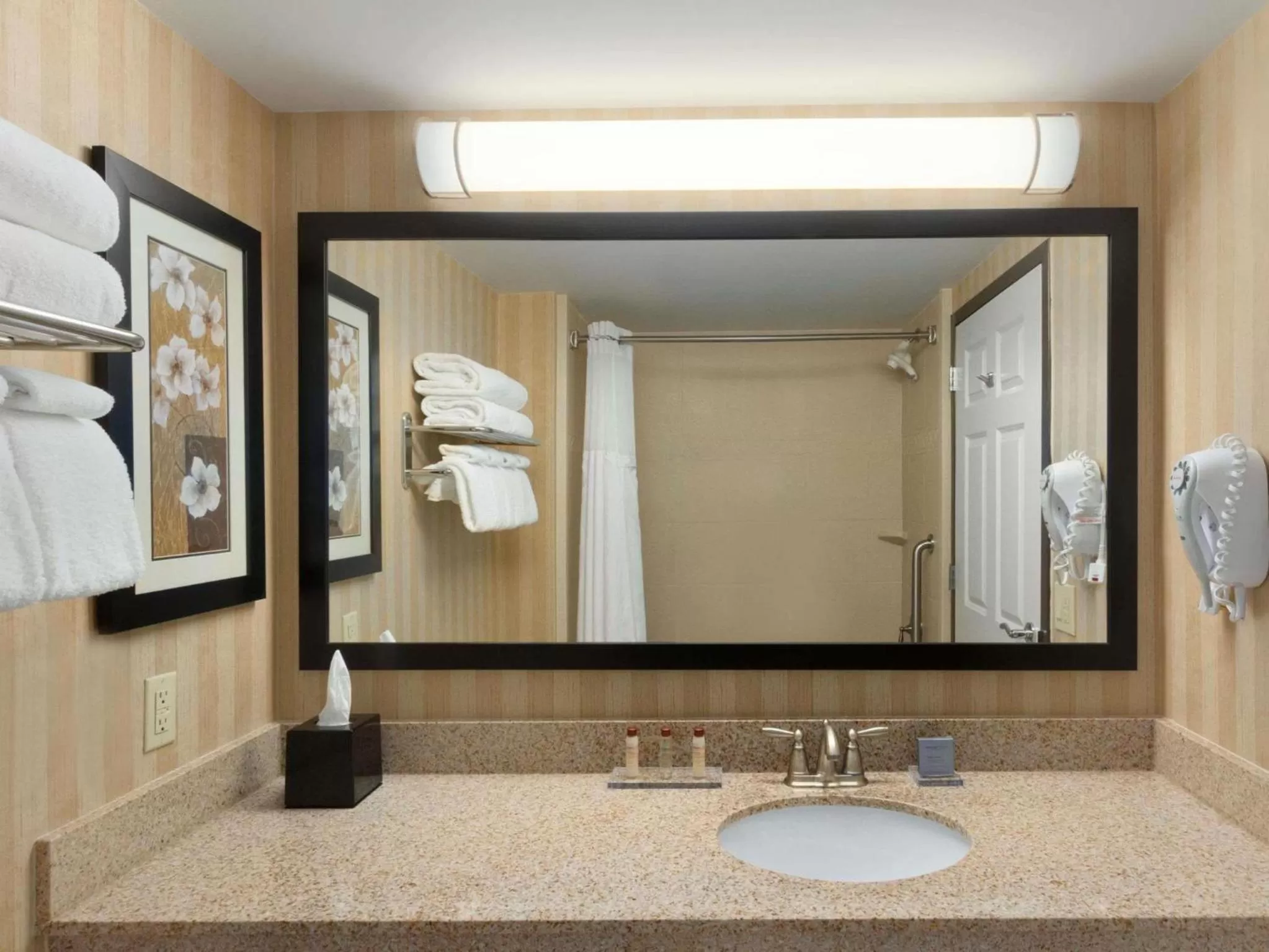 King Room with Sofa Bed- Non-Smoking in Spark By Hilton Charlotte Tyvola I-77