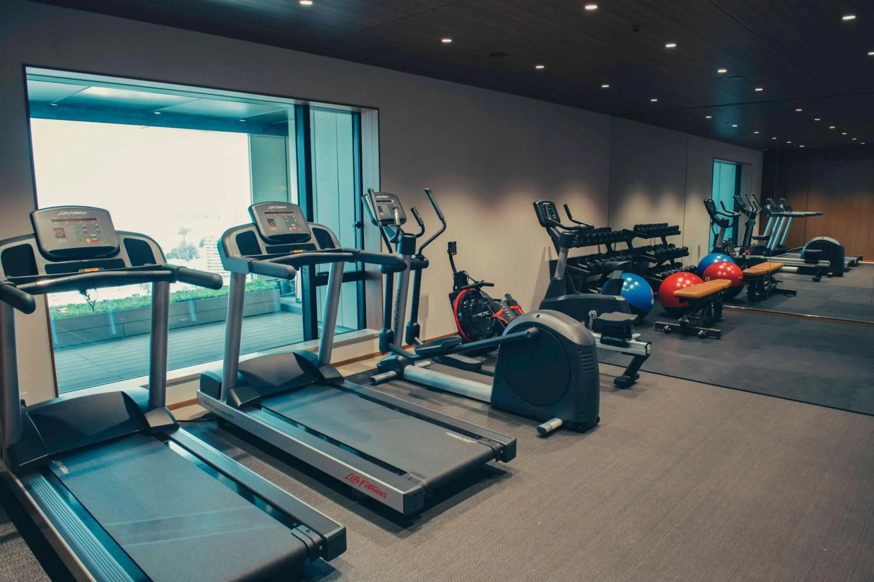 Fitness centre/facilities, Fitness Center/Facilities in THE AOYAMA GRAND HOTEL