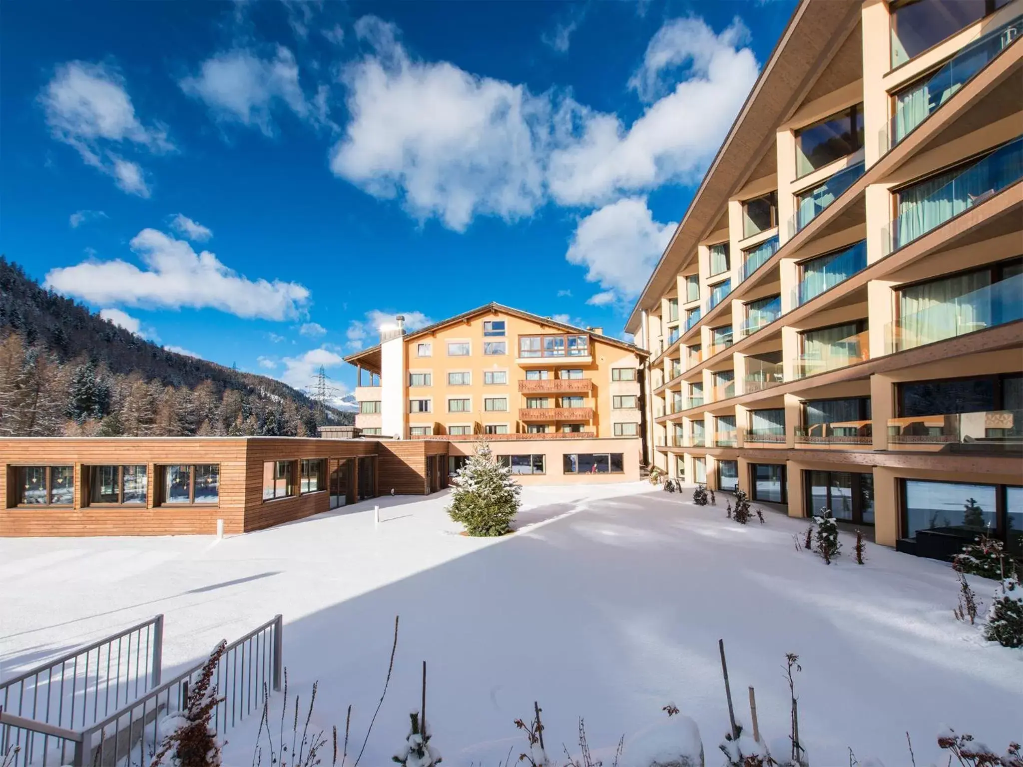 Property building, Winter in Hotel Palü