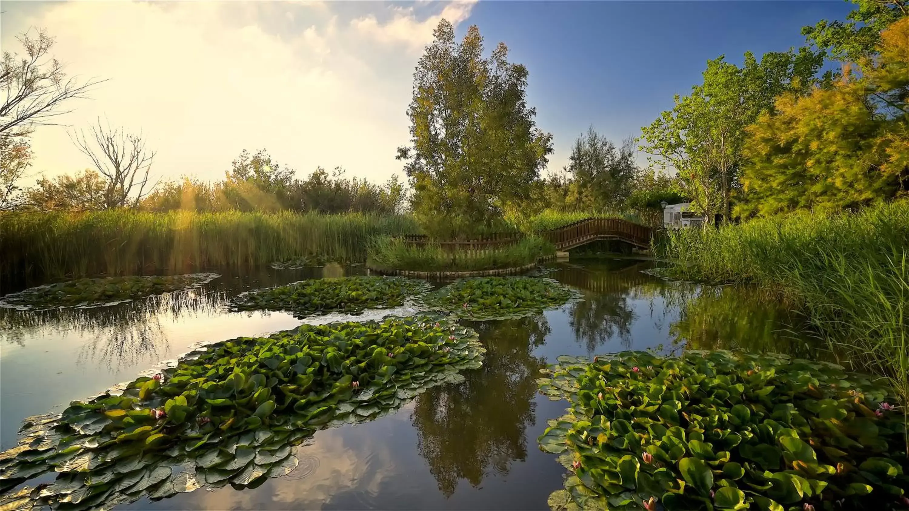 Natural landscape in Delta Hotel