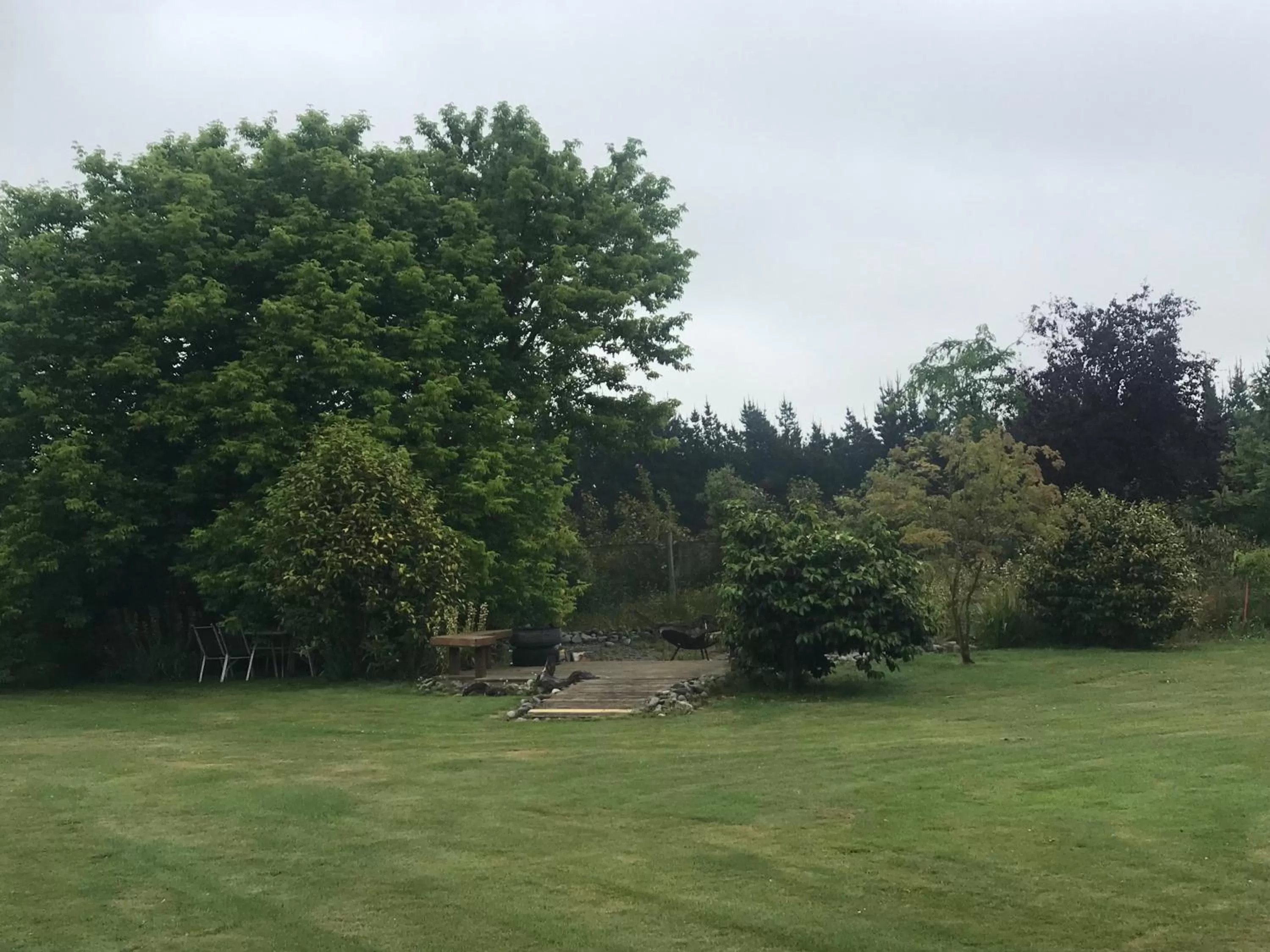 Natural landscape in Newlands Bed and Breakfast