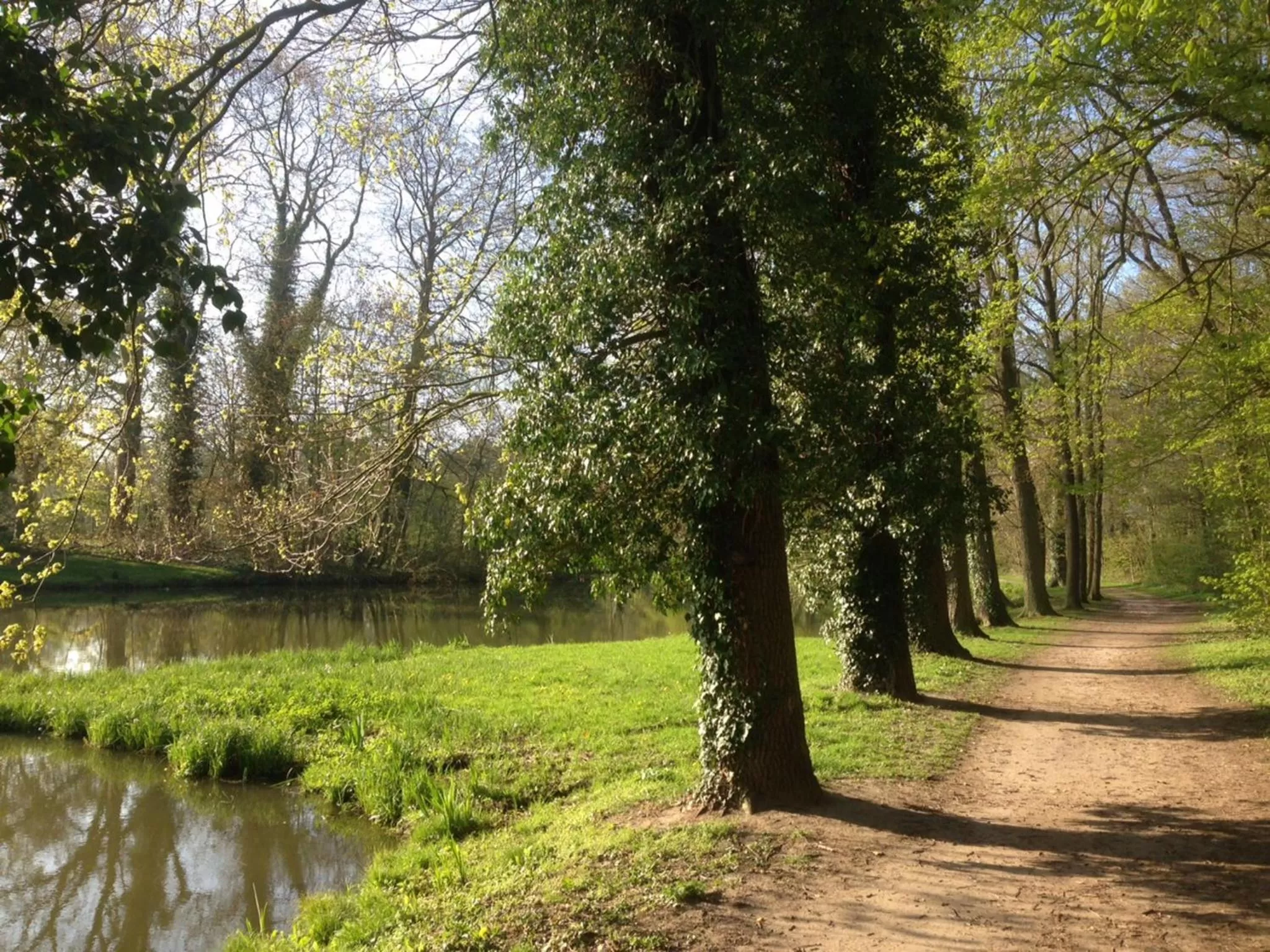 Nearby landmark in Hotel van Lendt garni