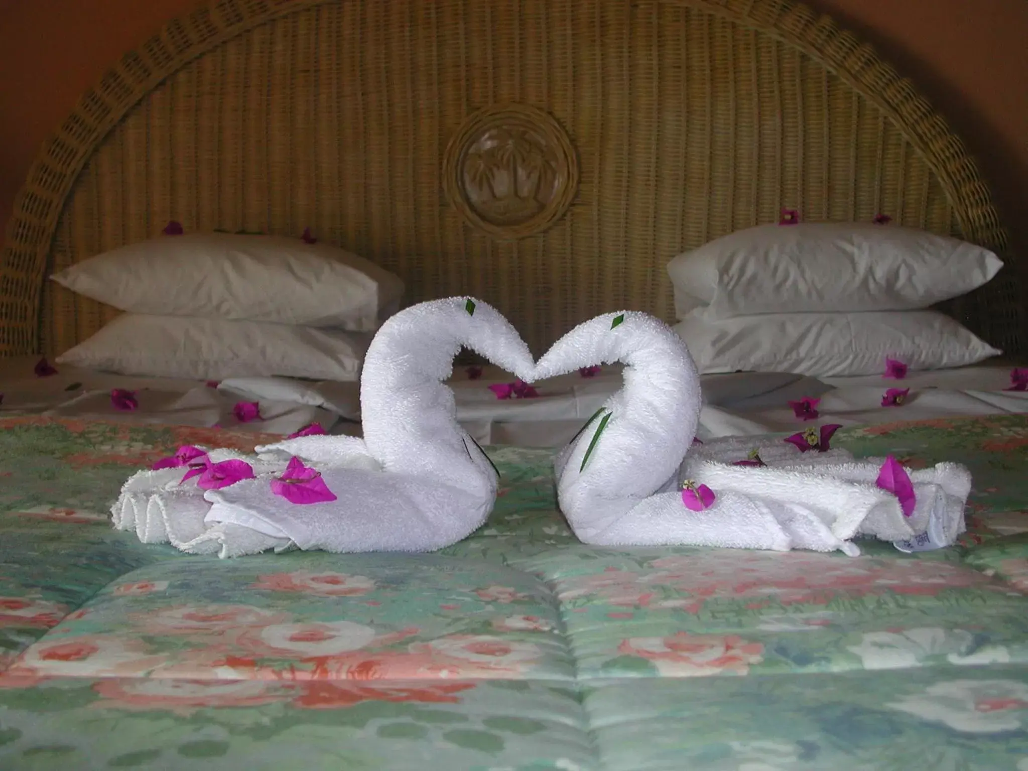 Other, Bed in Coco Reef Resort & Spa