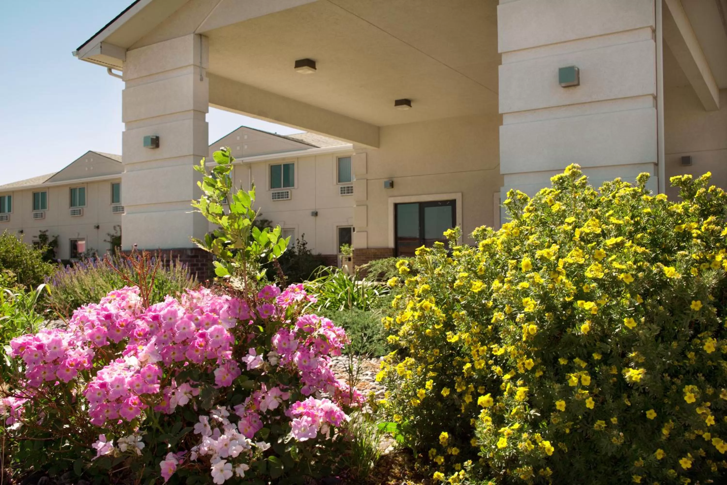 Facade/entrance, Property Building in Super 8 by Wyndham Big Timber