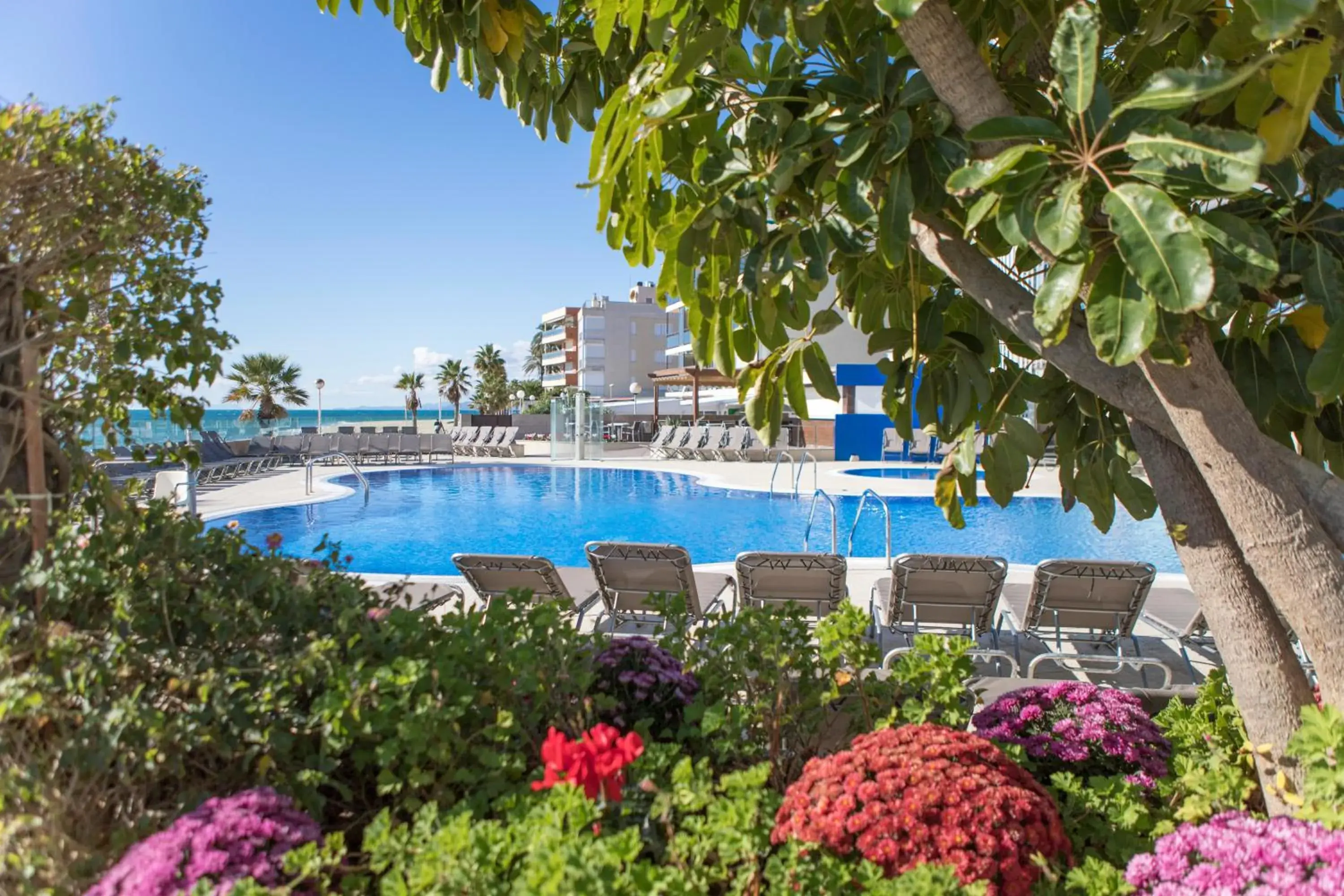 View (from property/room), Swimming Pool in Augustus