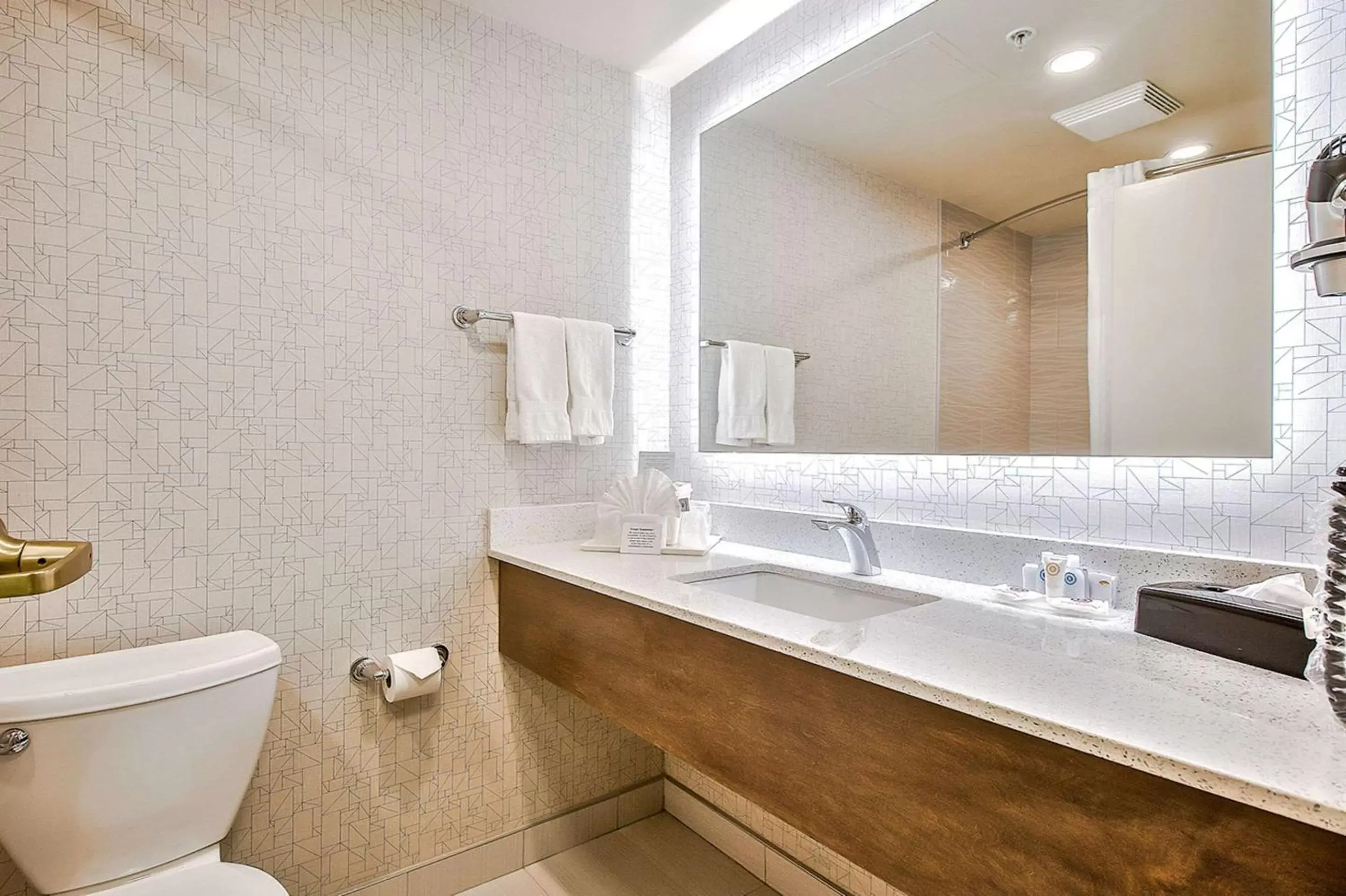 Bathroom in Comfort Inn & Suites South