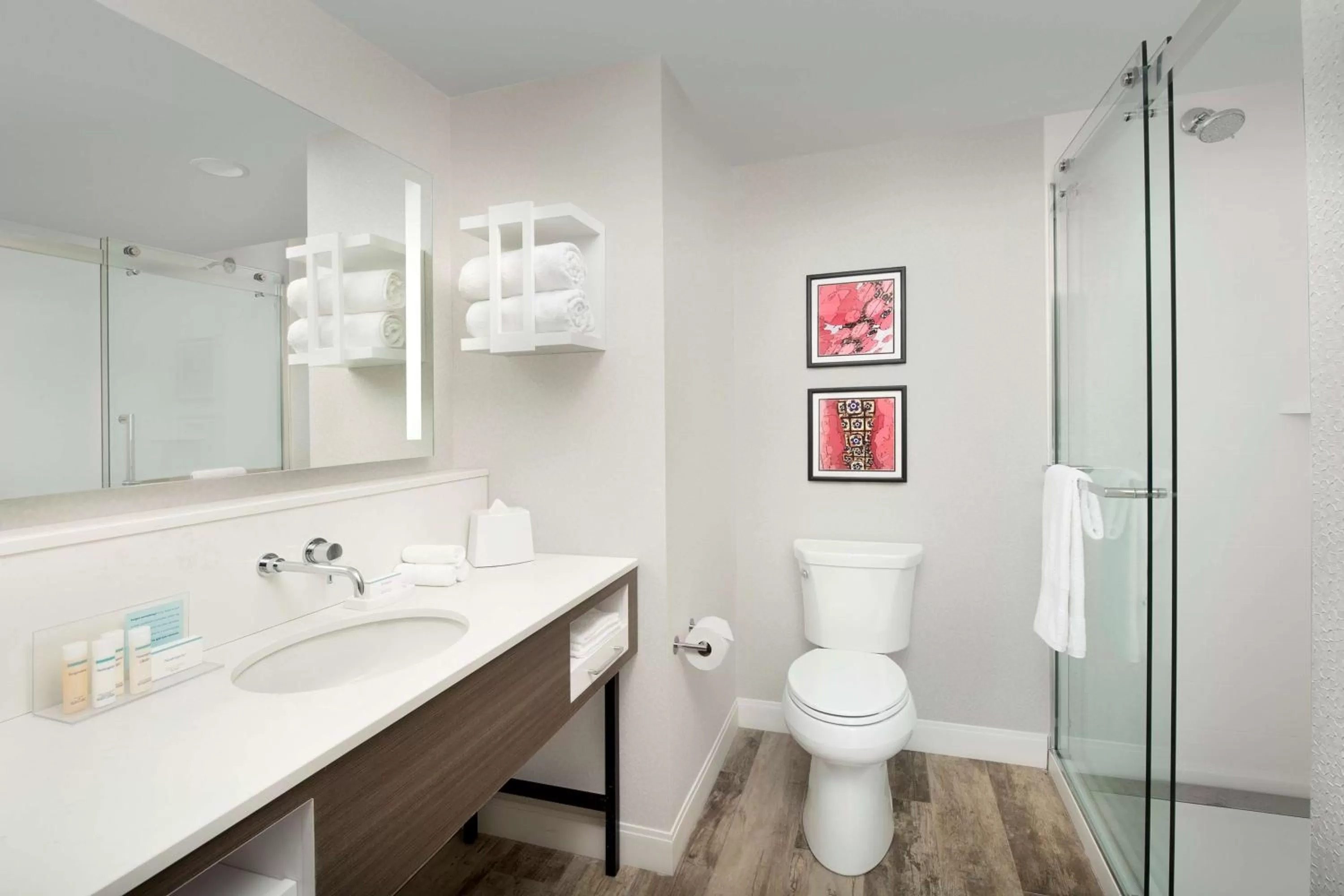 Bathroom in Hampton Inn Boston Logan Airport Chelsea