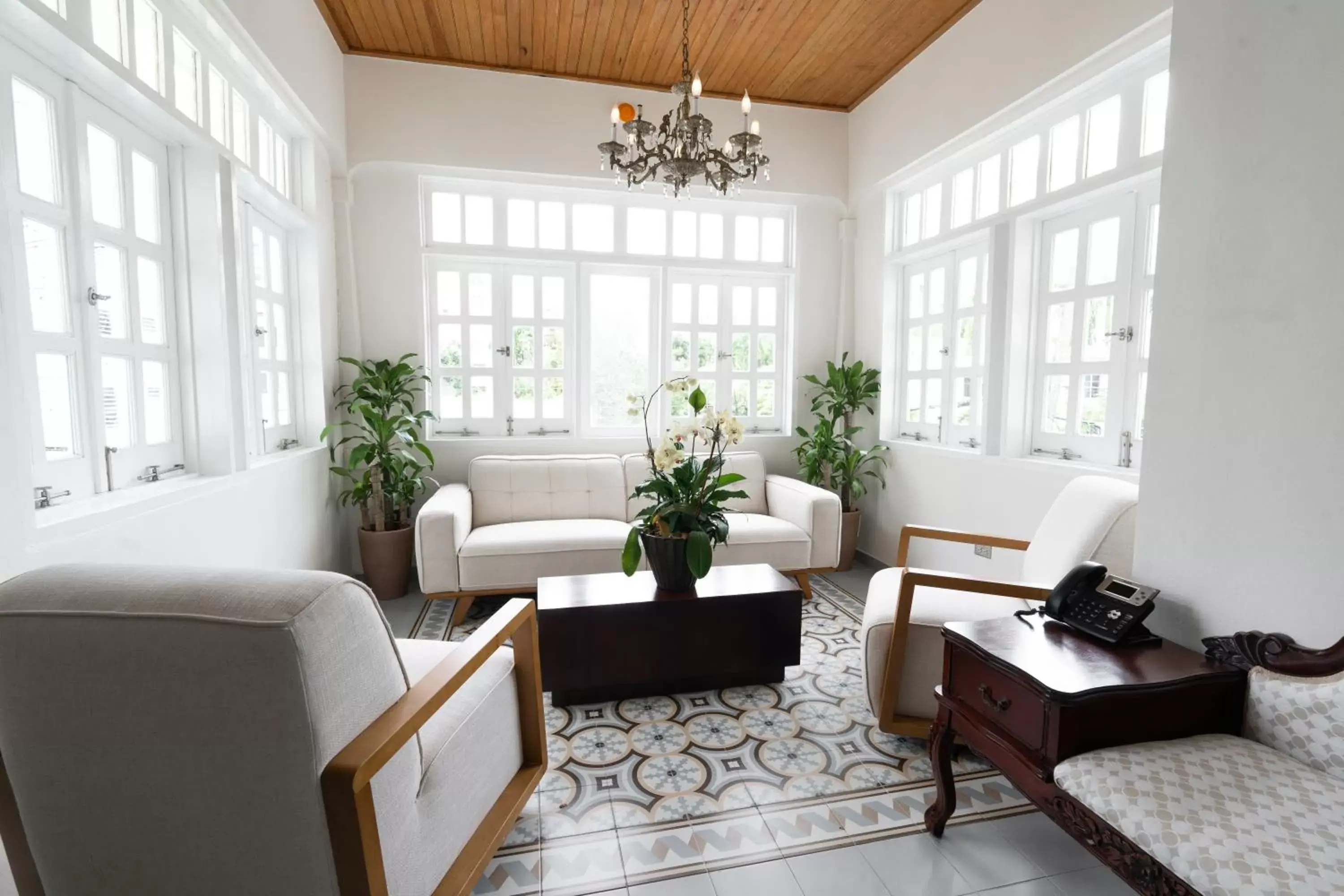 Living room, Lobby/Reception in Casa Wilson Inn