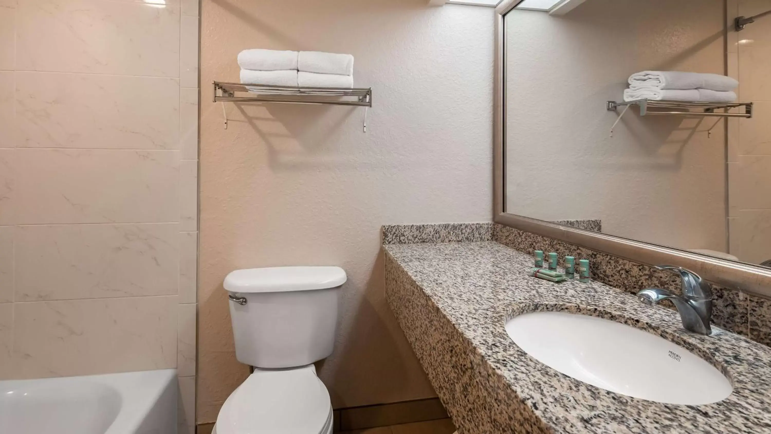 Bathroom in Best Western Tampa