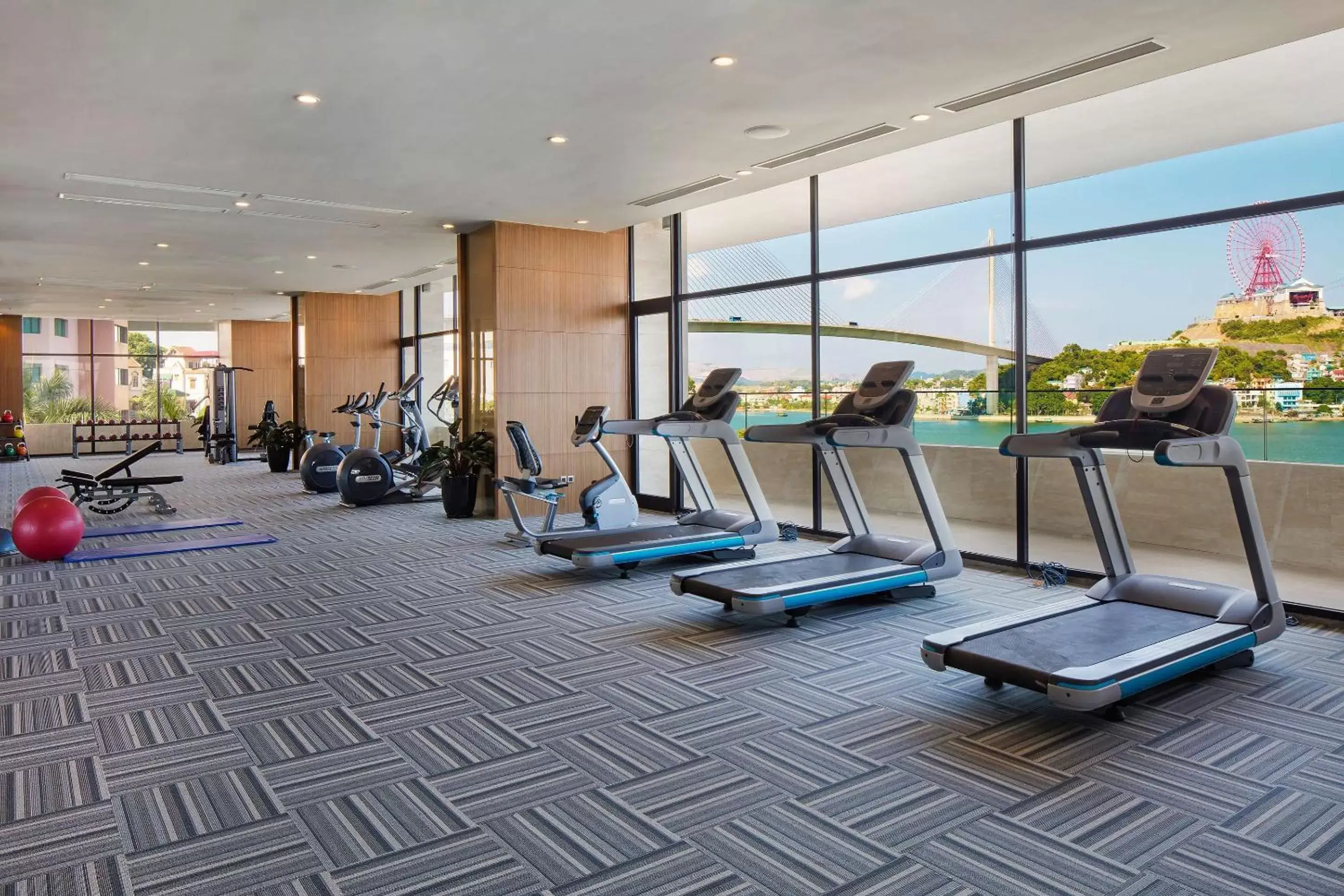 Fitness centre/facilities, Fitness Center/Facilities in Wyndham Legend Halong