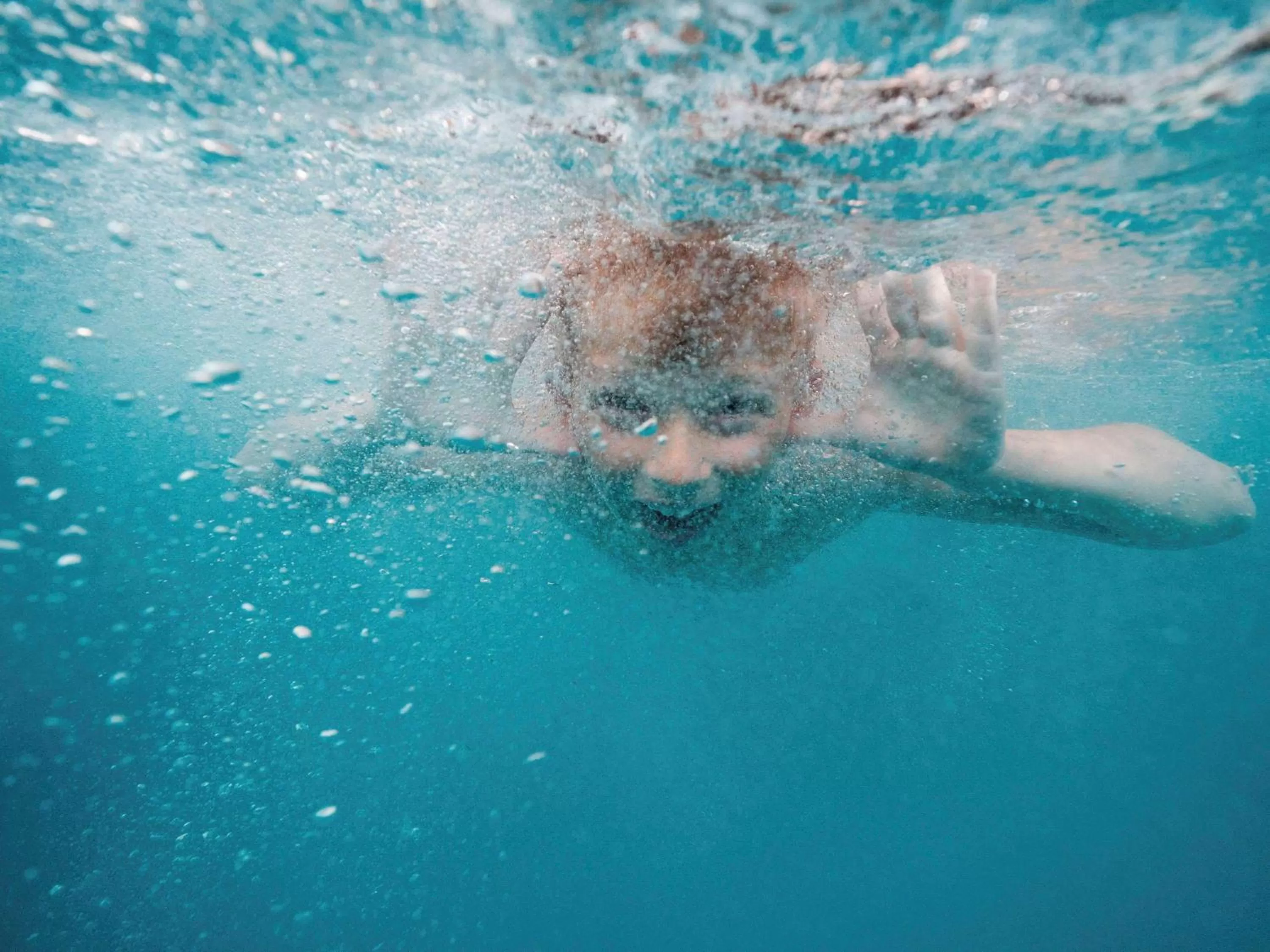 On site, Other Animals in Novotel Thalassa Ile d'Oléron