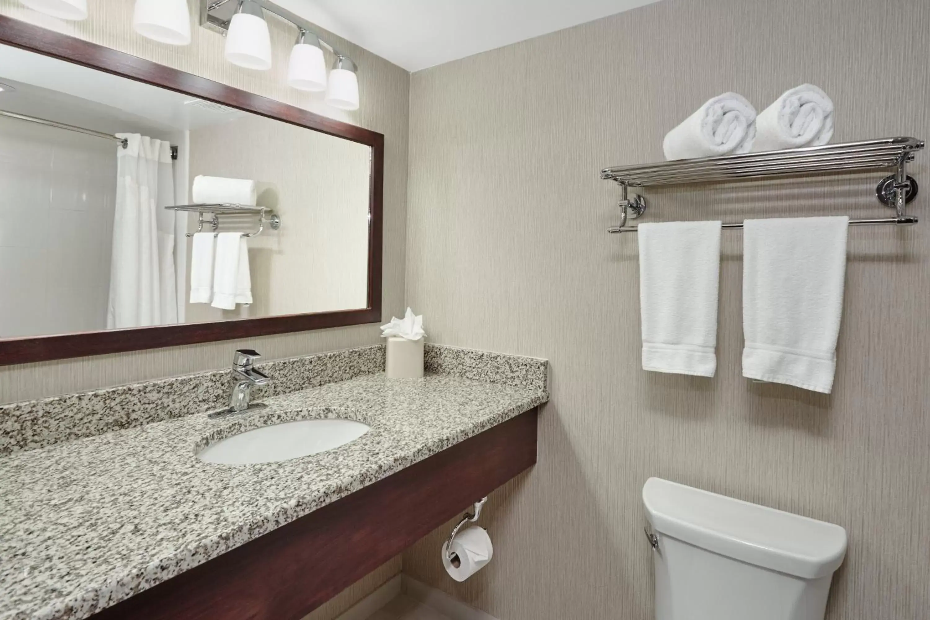 Bathroom in Holiday Inn & Suites Chicago-Carol Stream Wheaton, an IHG Hotel
