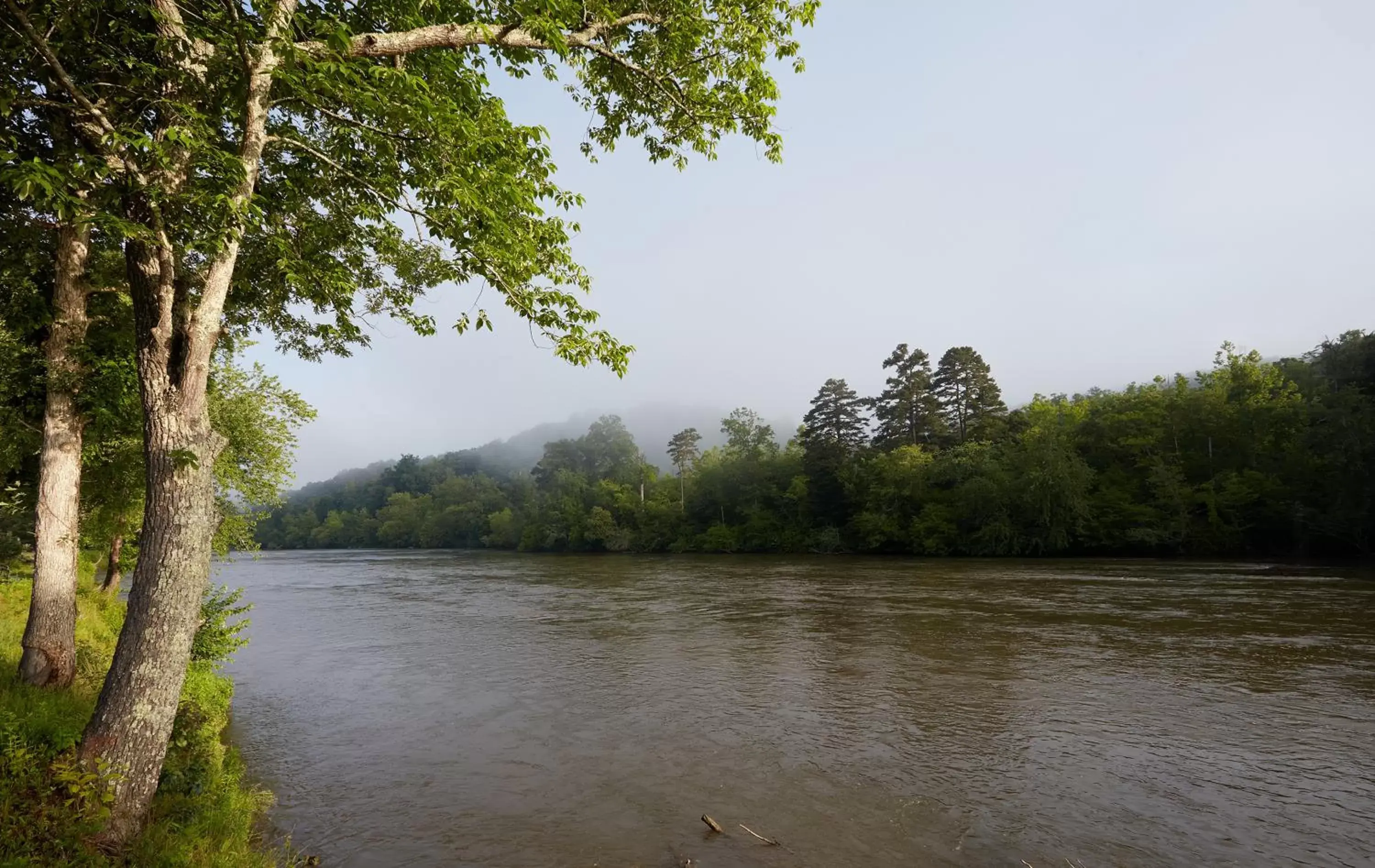 Natural landscape in Asheville River Cabins