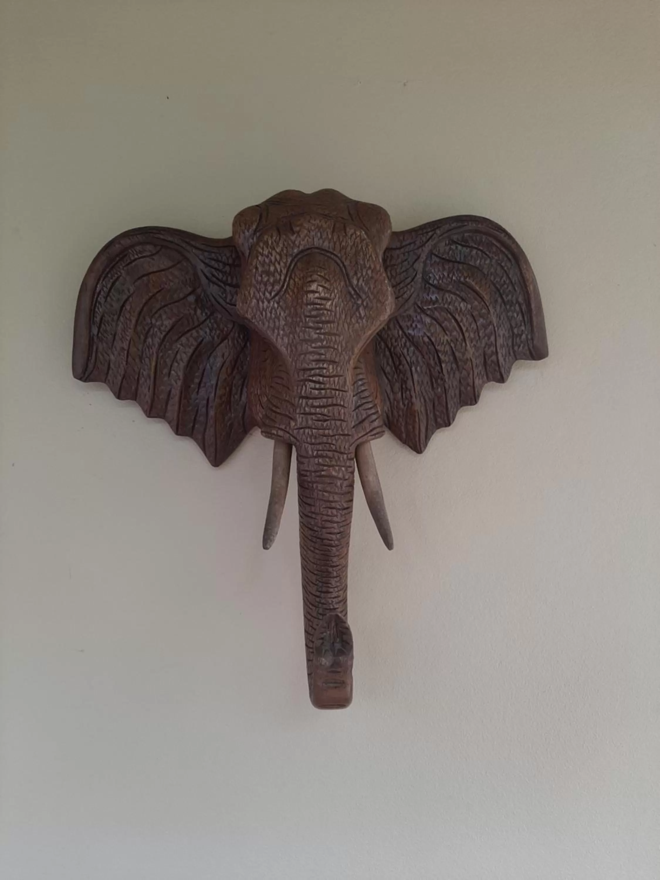 Decorative detail in Liam's Guesthouse Adults Only