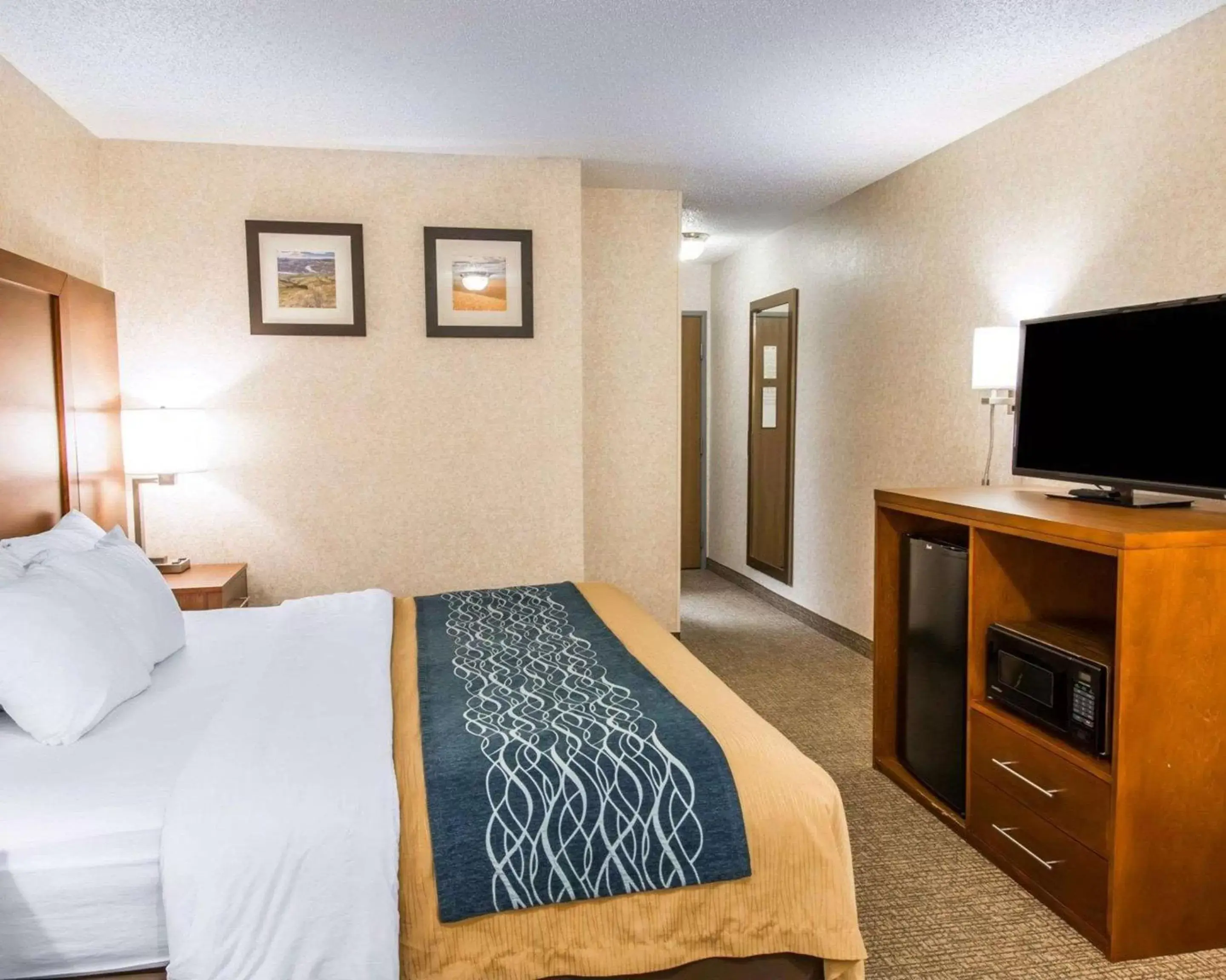 Photo of the whole room, Bed in Quality Inn