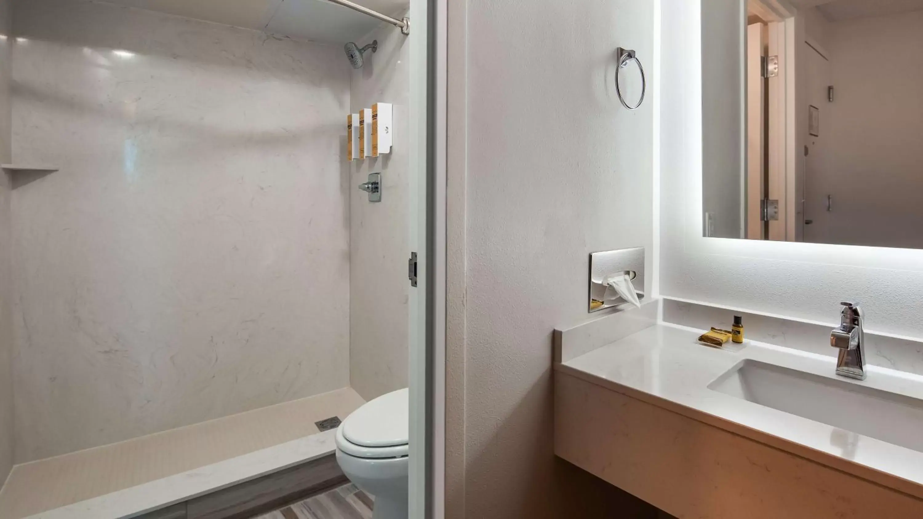Bathroom in Best Western Plus Wausau Tower Inn