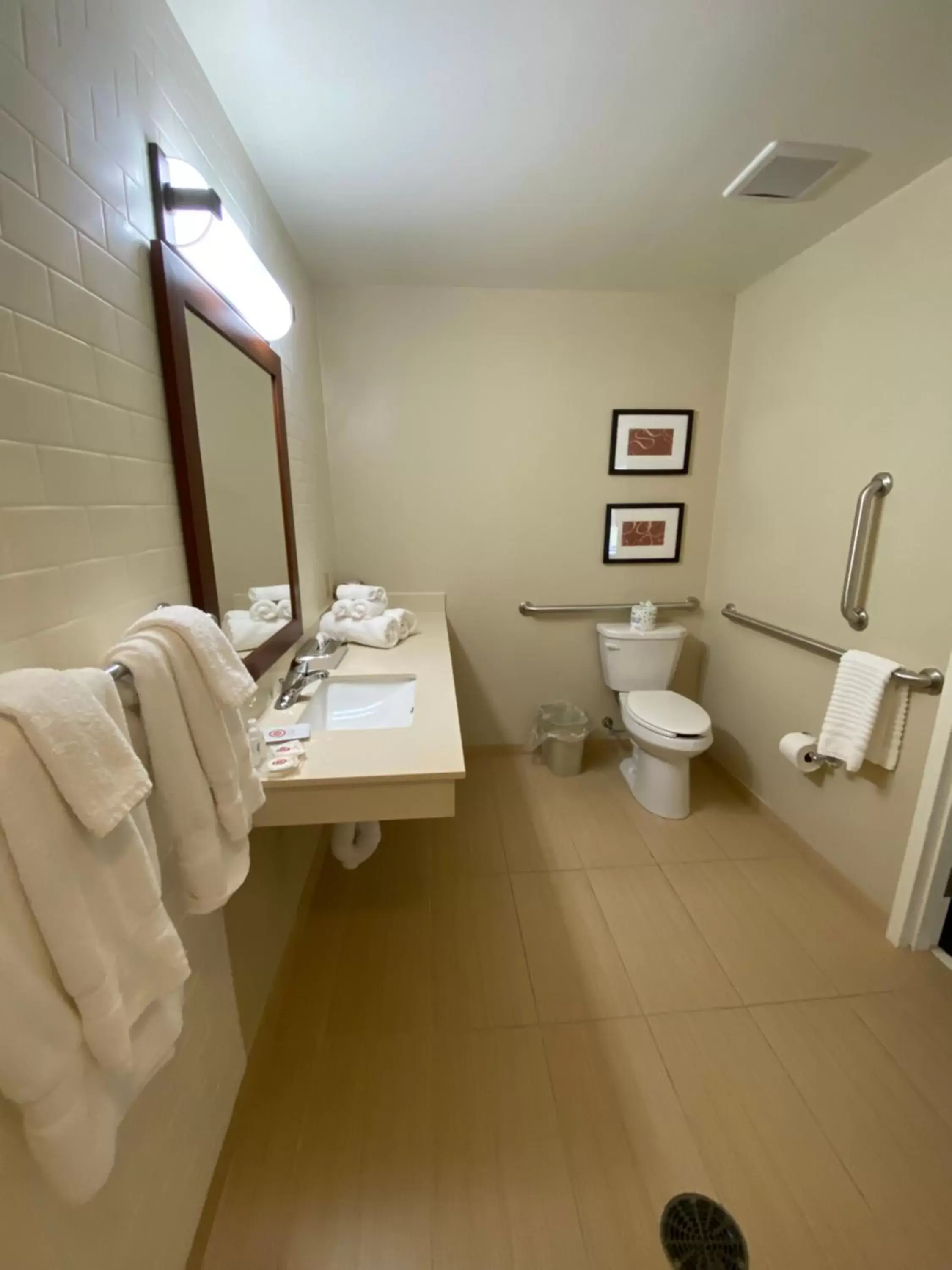 Bathroom in Comfort Suites Manheim - Lancaster
