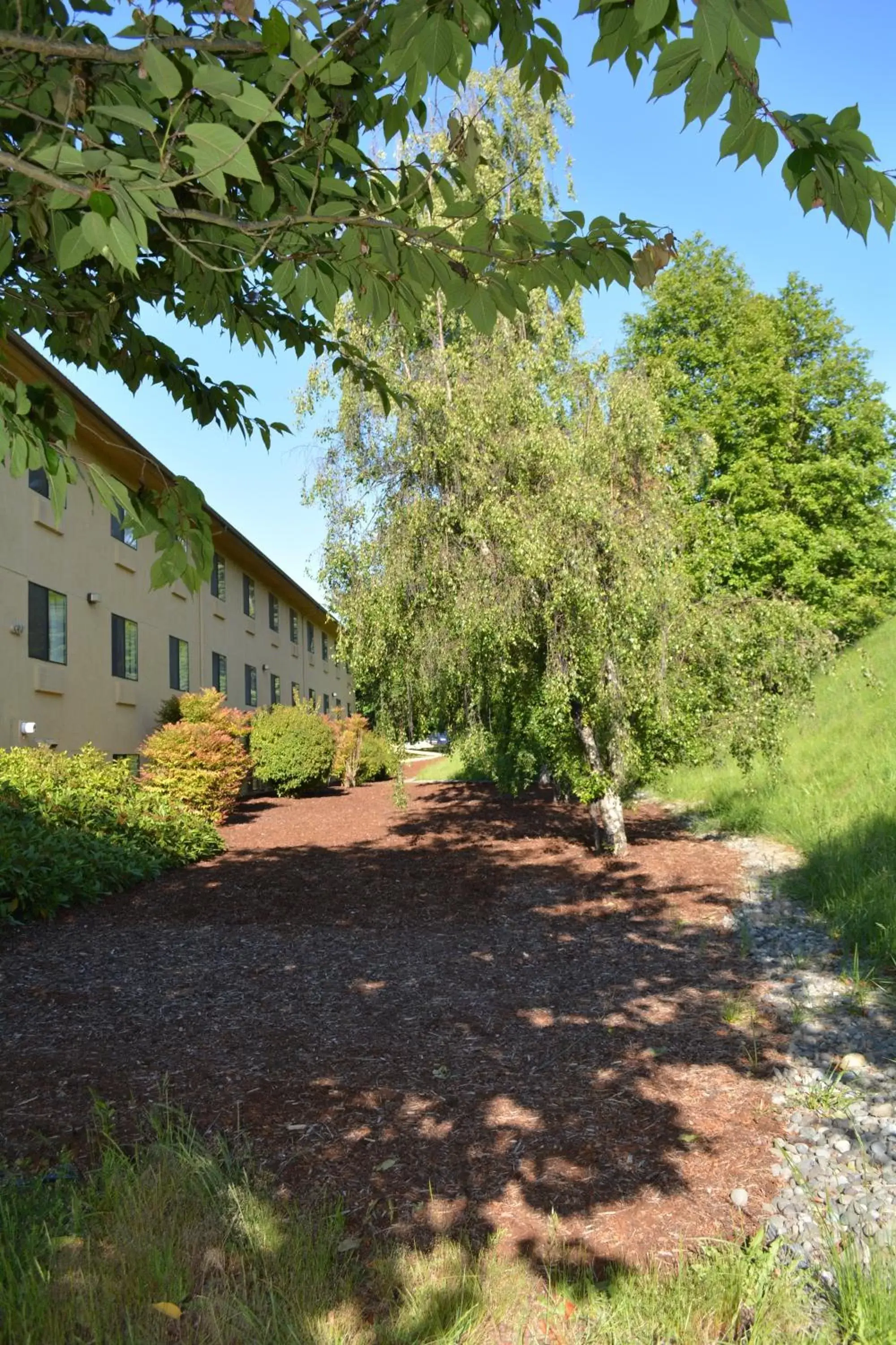 Facade/entrance, Property Building in Super 8 by Wyndham Port Angeles at Olympic National Park