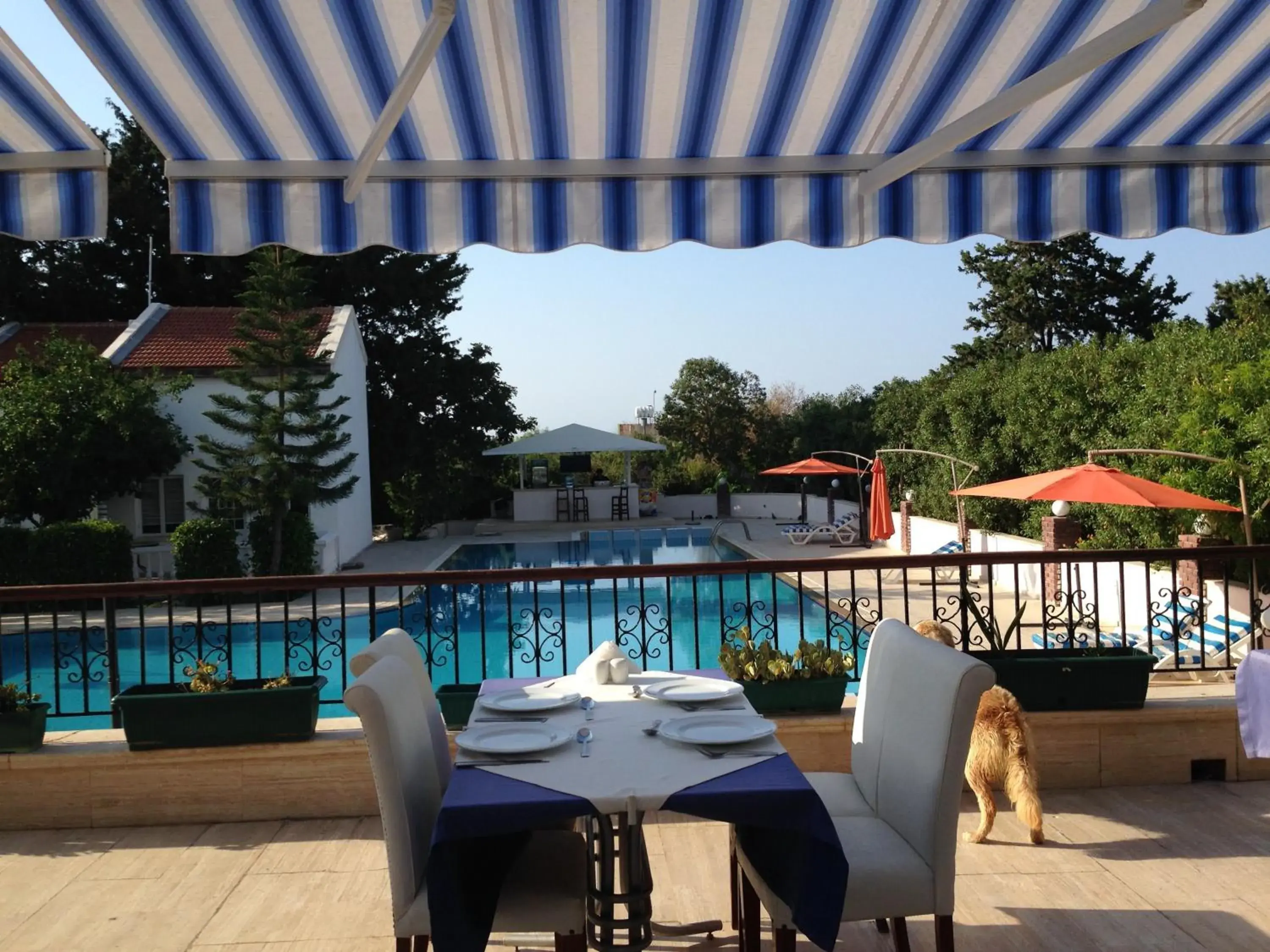 Pool View in The Prince Inn Hotel&Villas