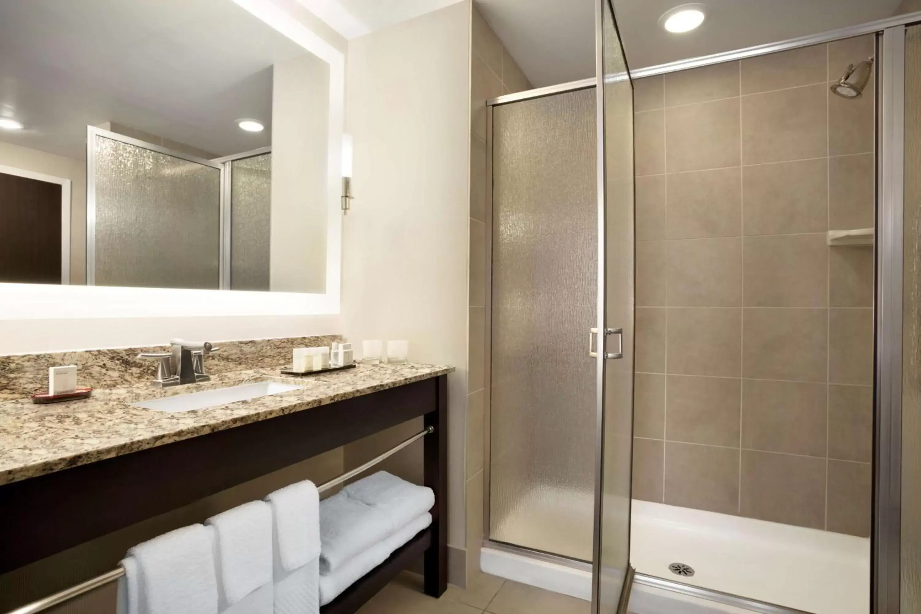 Bathroom in Embassy Suites by Hilton Jackson North Ridgeland