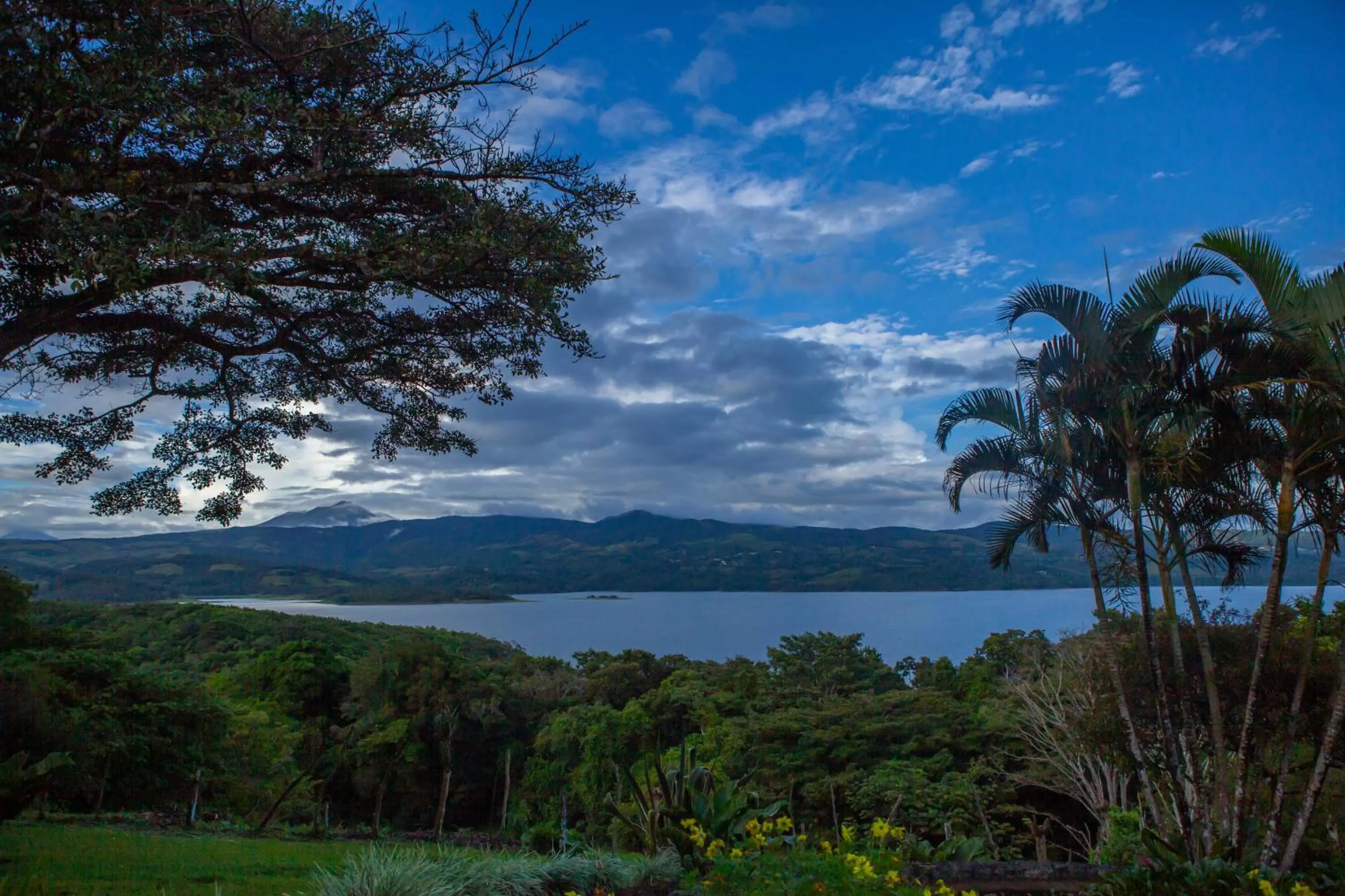 Area and facilities in Lake Arenal Brewery & Hotel