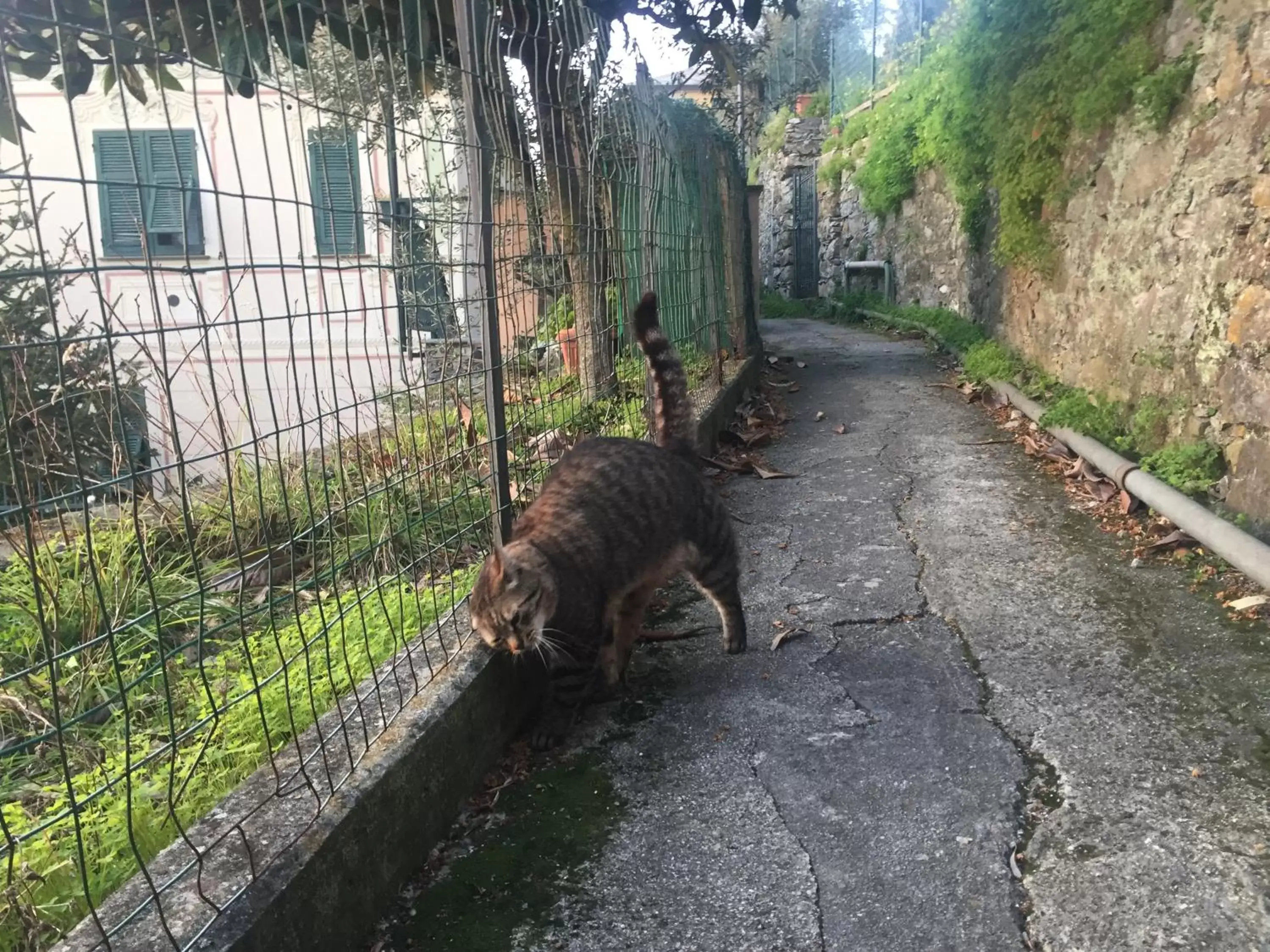 Facade/entrance, Pets in B&B Case Rosse