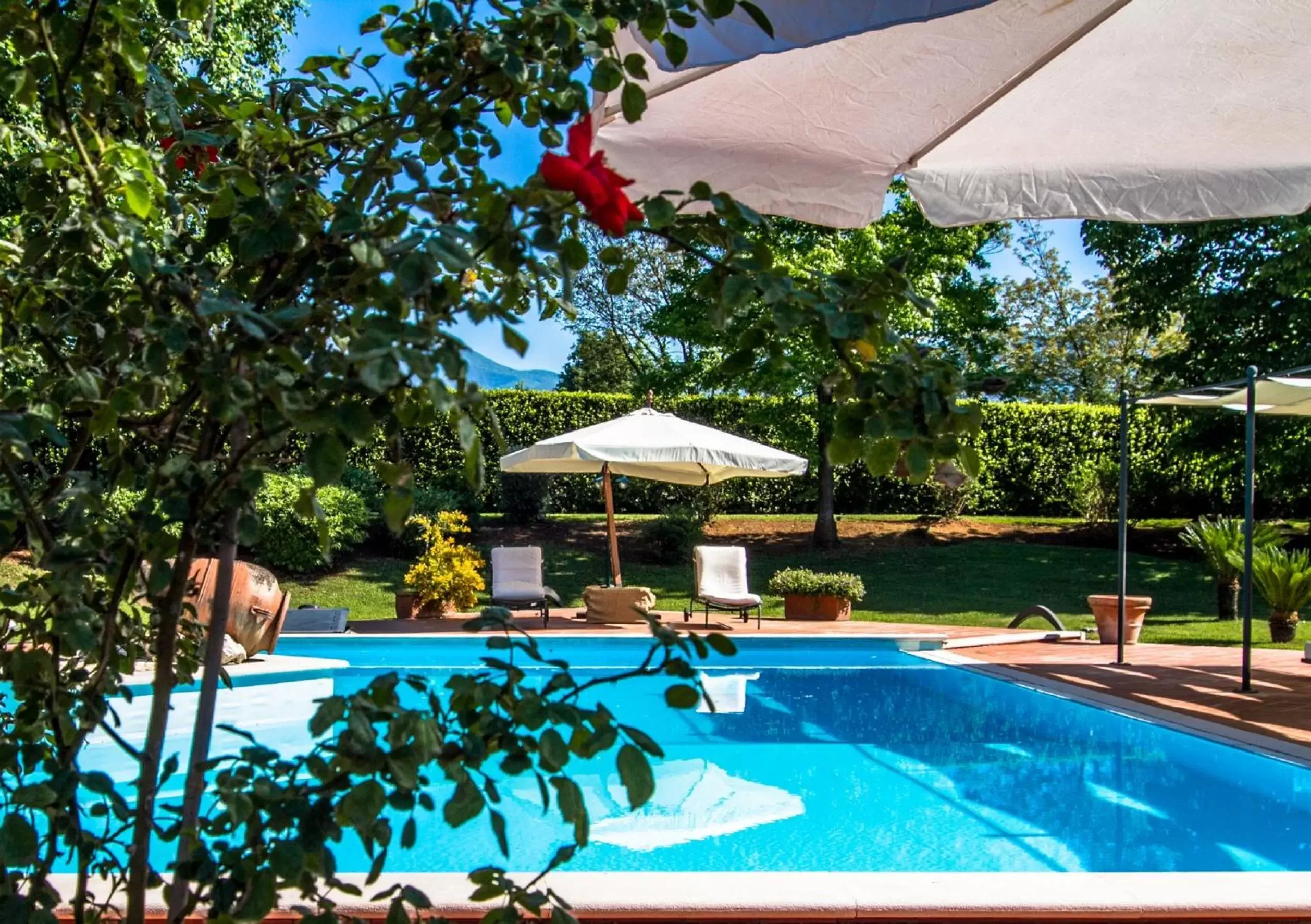 Swimming Pool in B&B Villa Sbaraglia