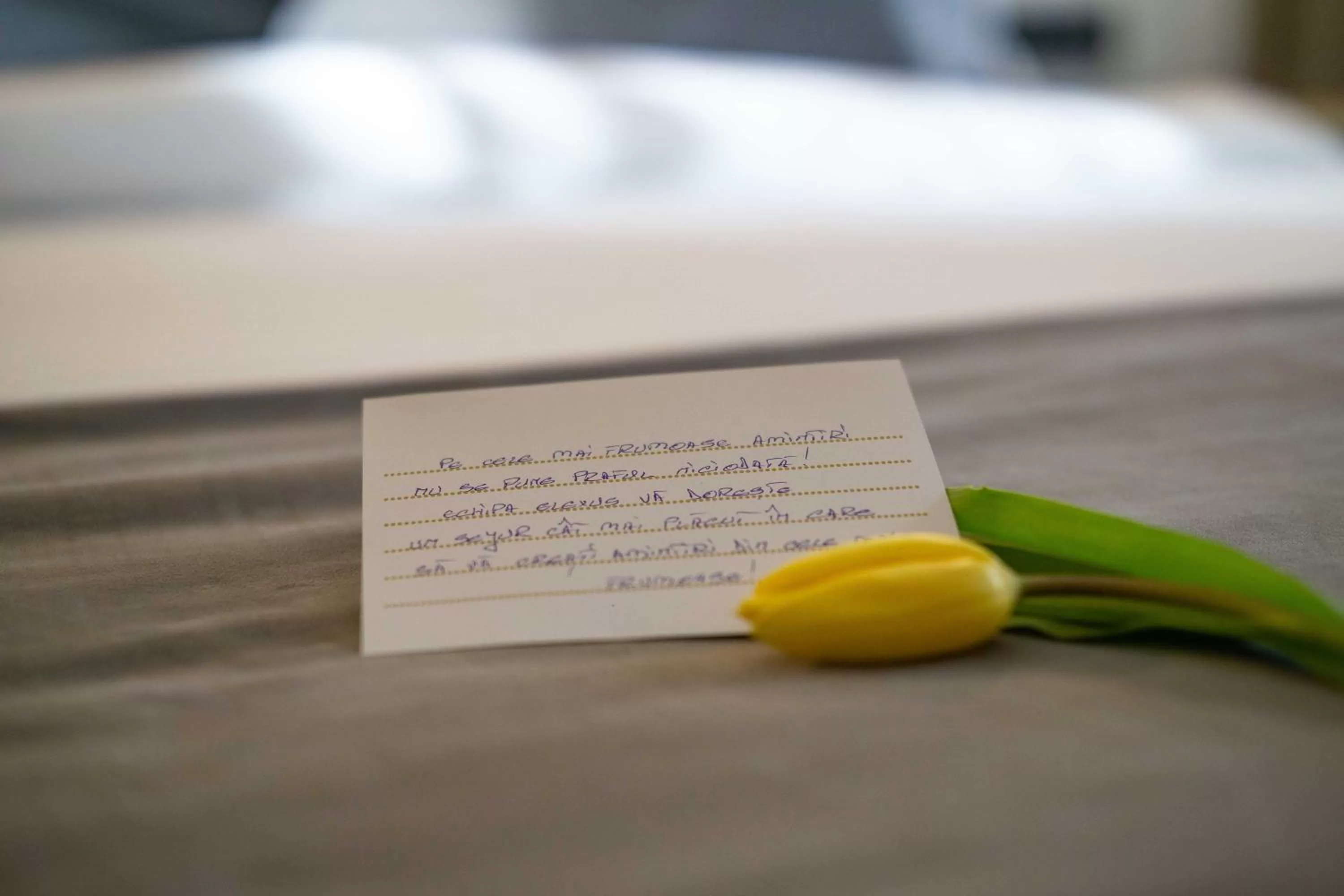 Bed in Elexus Predeal