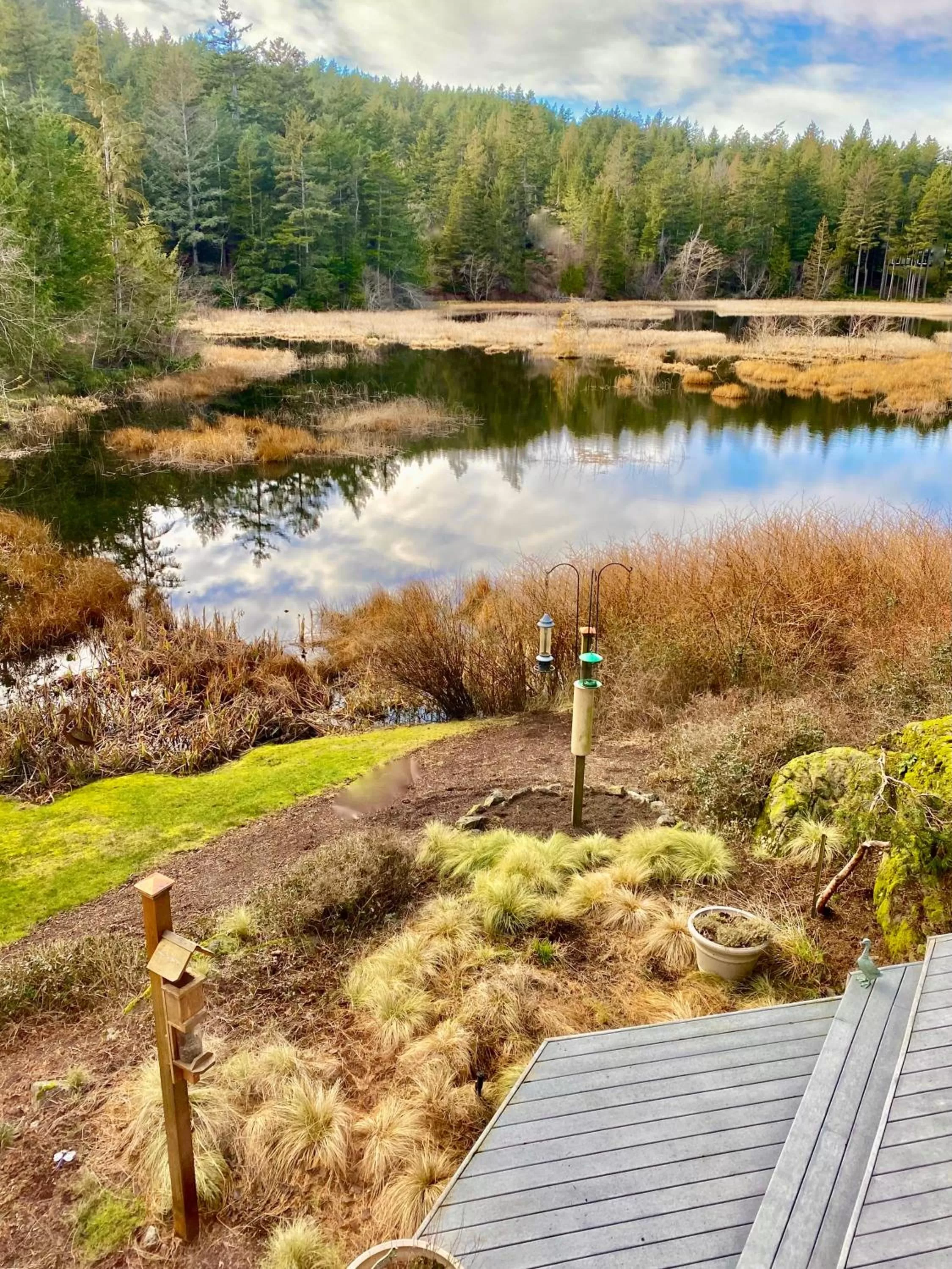 Lake view in Otter's Pond Bed and Breakfast