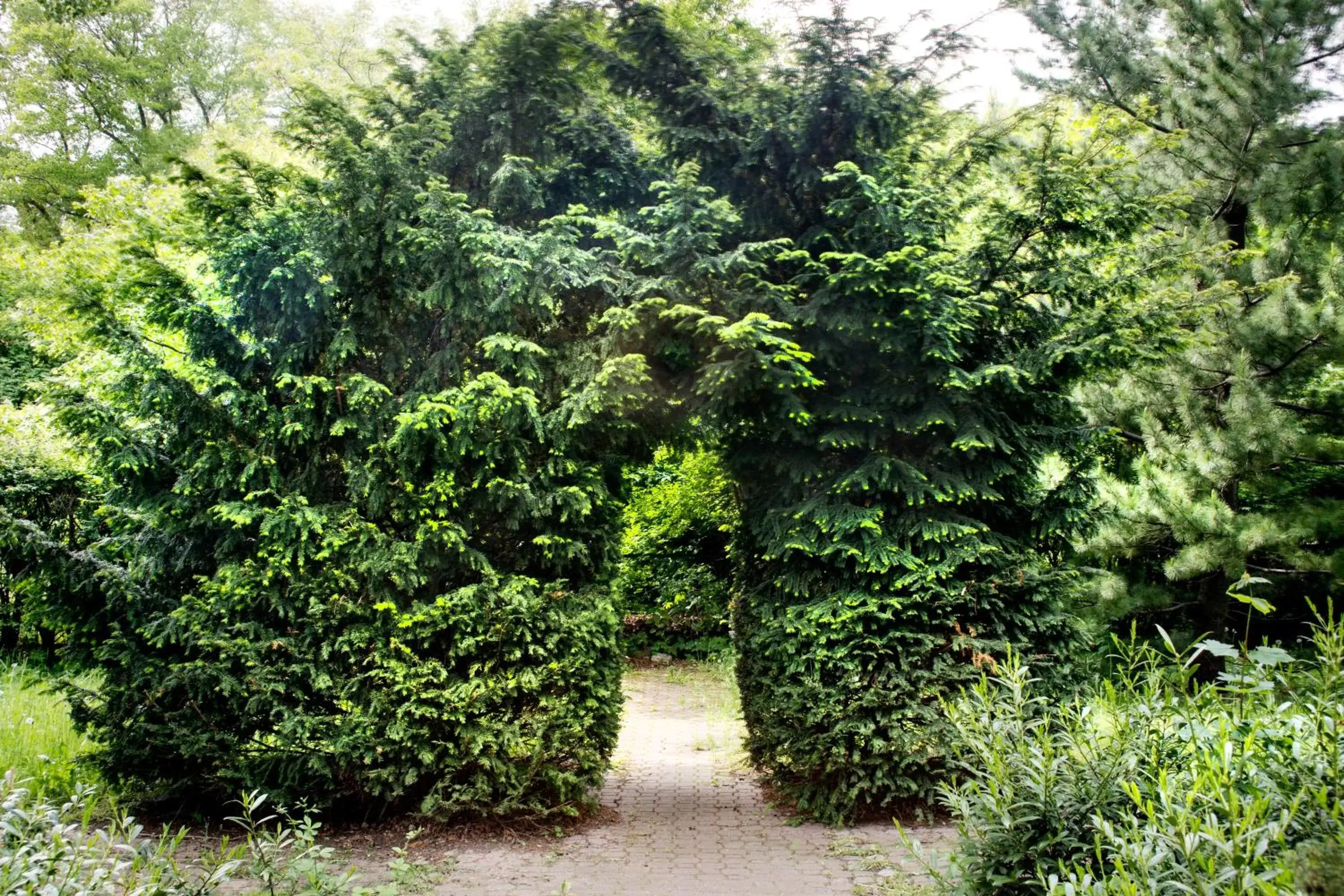 Garden in Mercure Gdańsk Posejdon