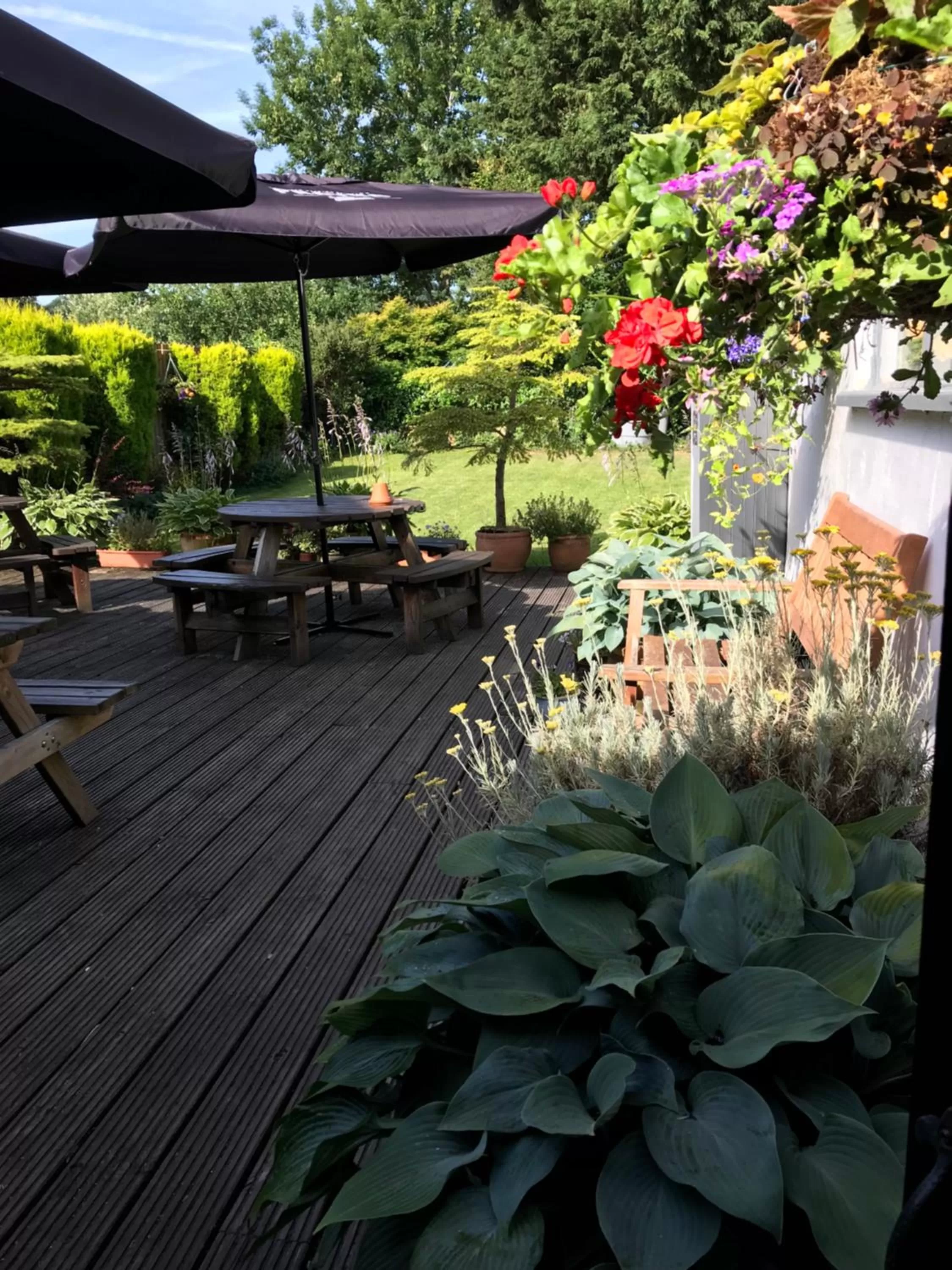 Garden in The New Court Inn