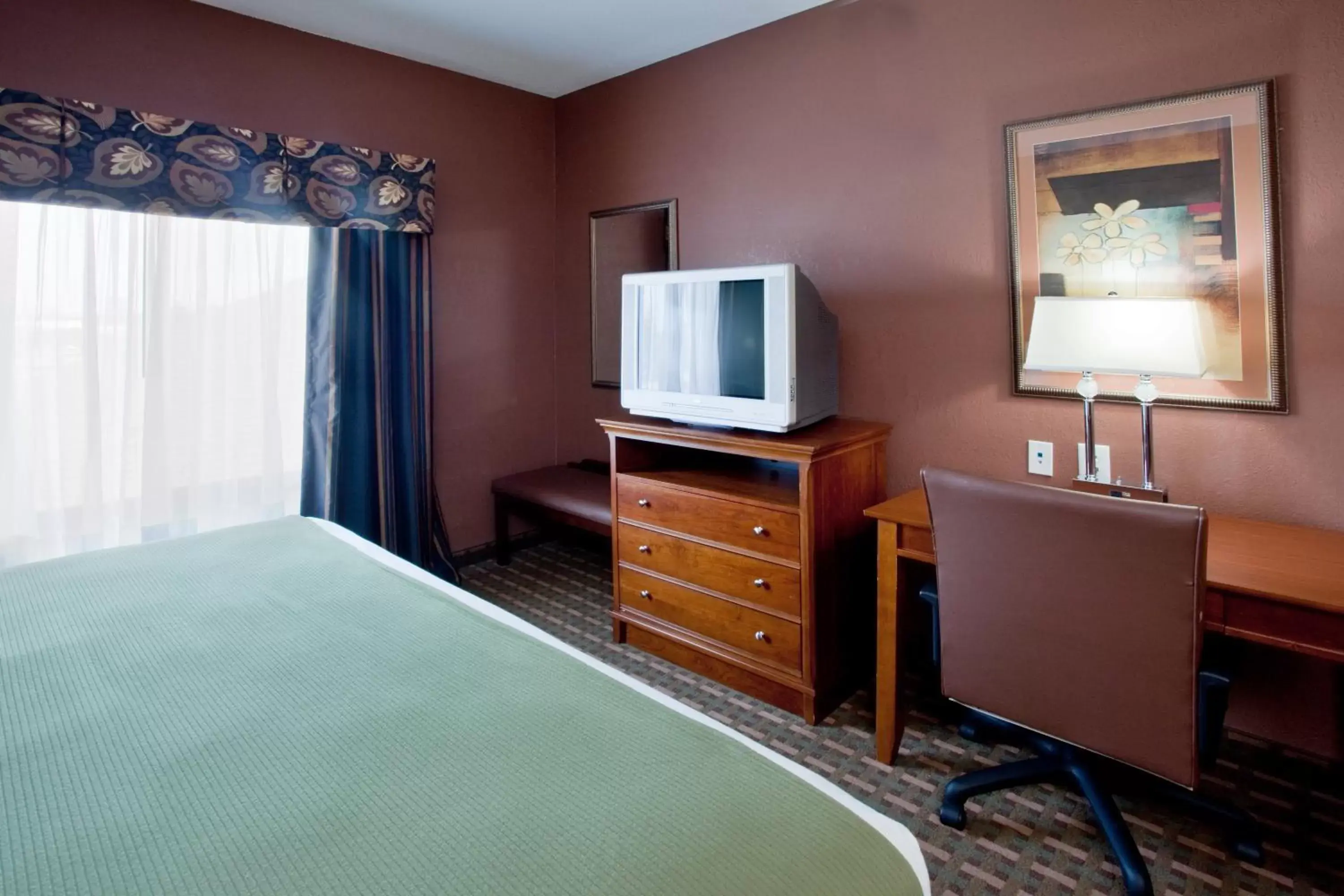 TV and multimedia, TV/Entertainment Center in Holiday Inn Express Hotel & Suites Suffolk, an IHG Hotel
