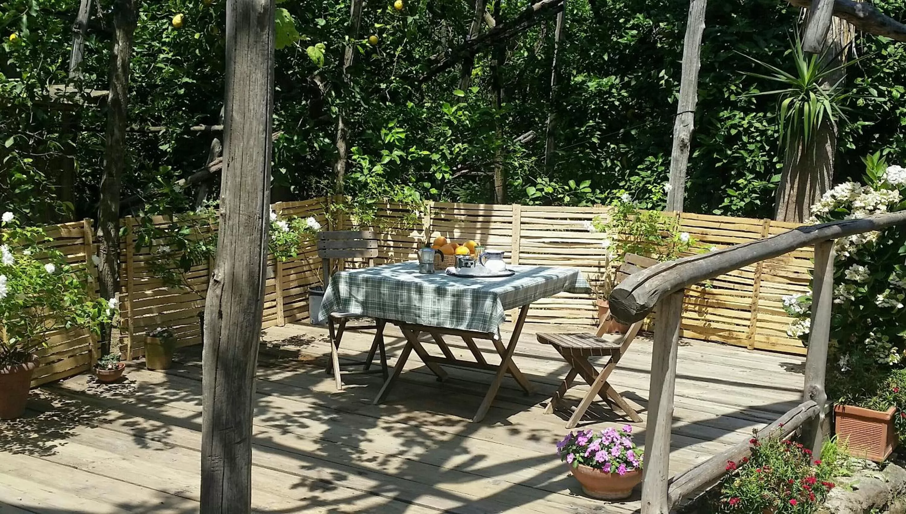 Garden in Casa Carolina B&B