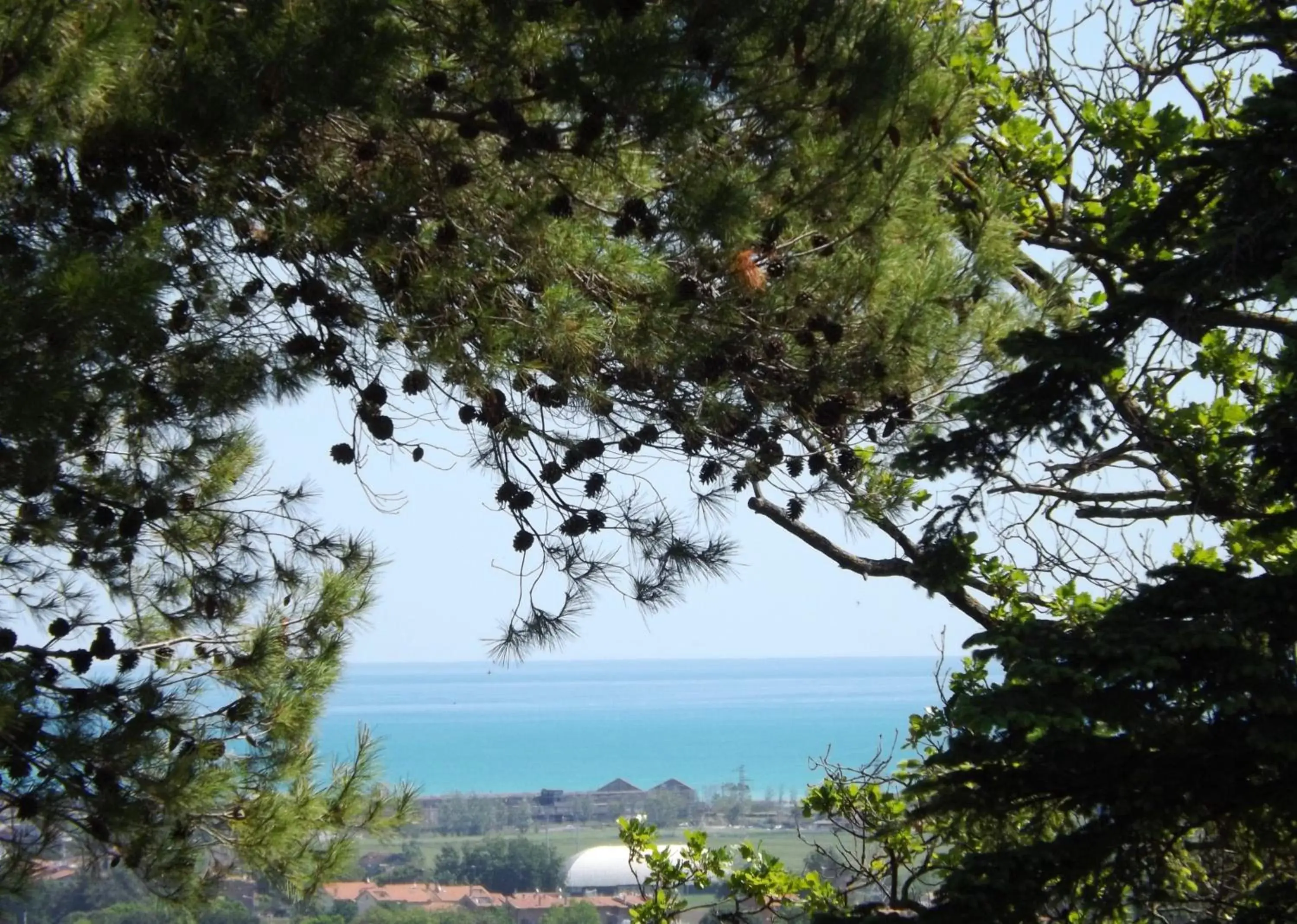 Sea view in Tenuta Villa Colle Sereno