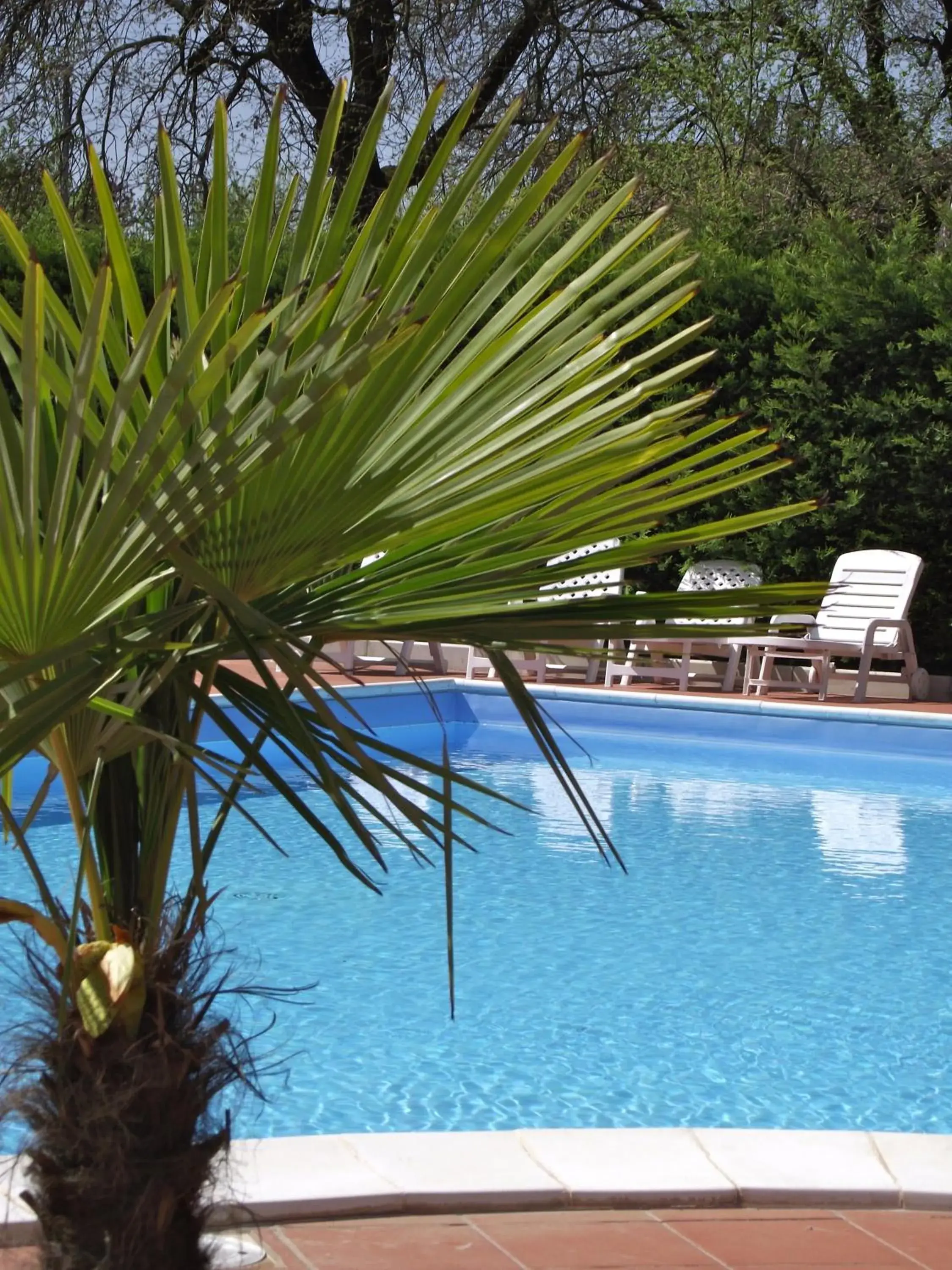 Swimming Pool in Hotel Duca Della Corgna