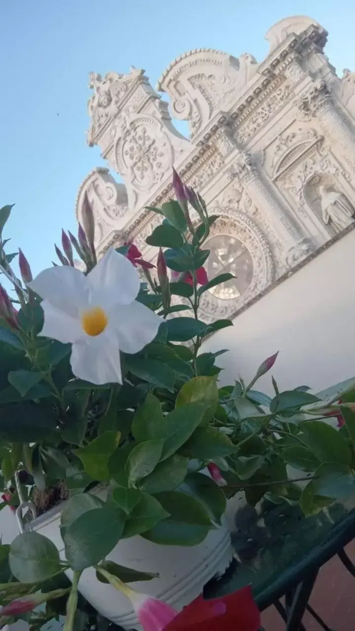 Balcony/Terrace in B&B I sei volti Lecce