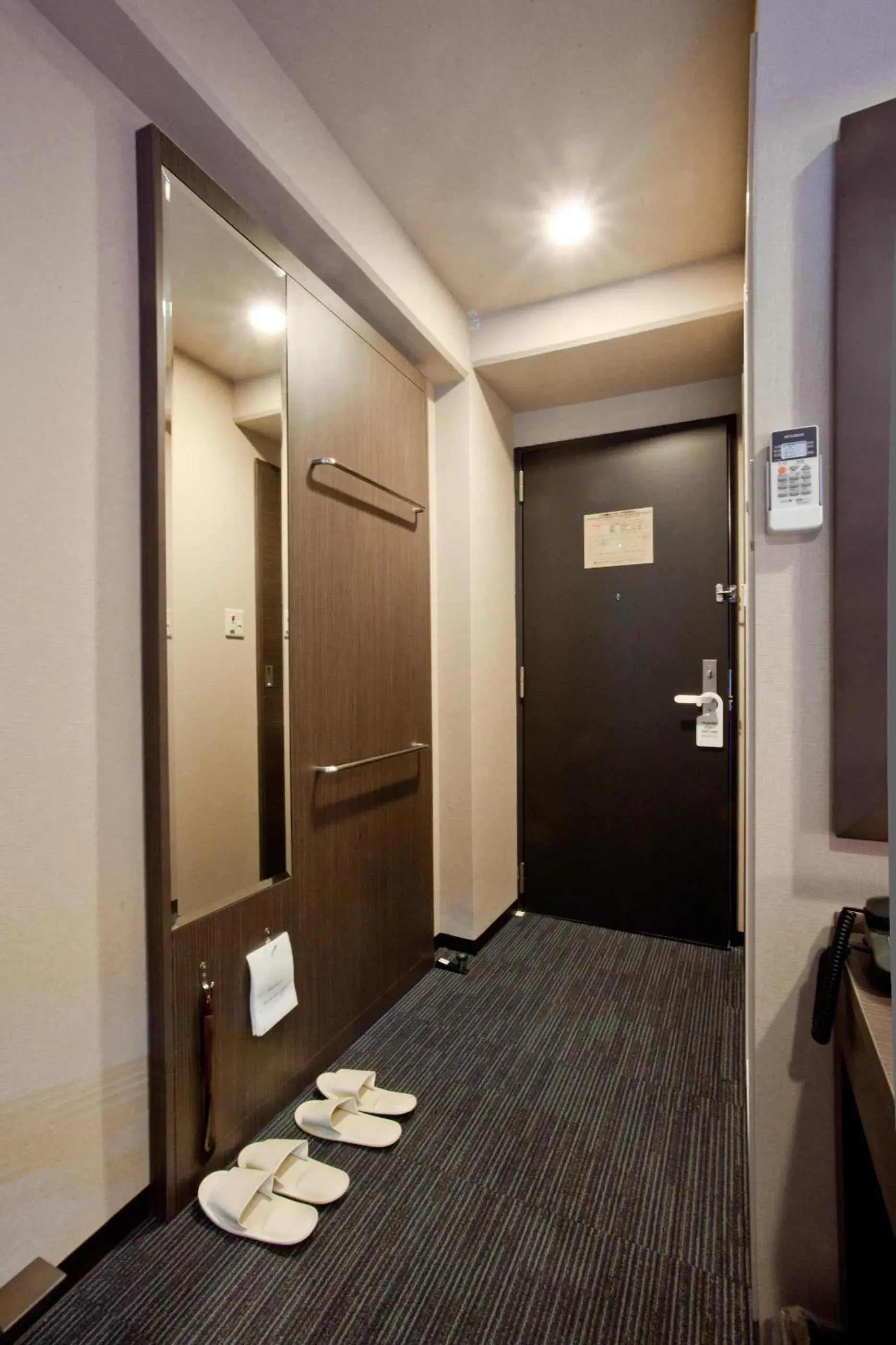 Area and facilities in Kuretake Inn Premium Shizuoka Ekimae
