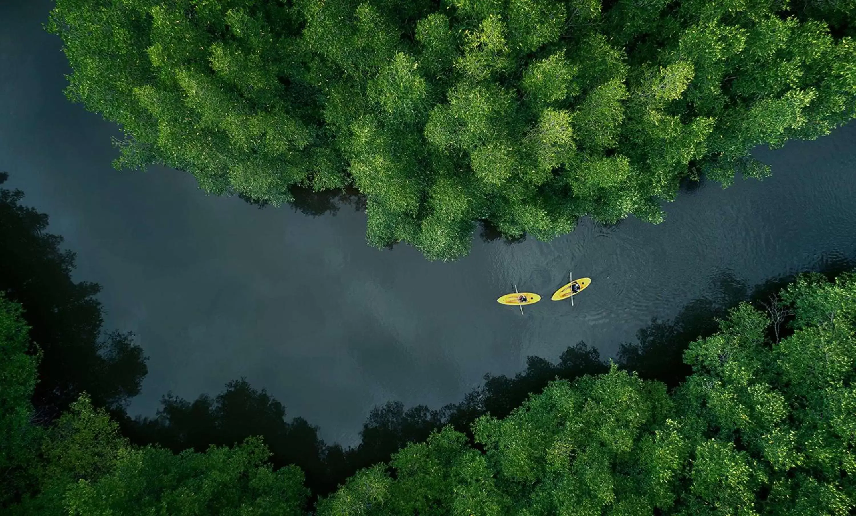 Activities, Bird's-eye View in Shangri-La Rasa Ria, Kota Kinabalu