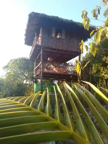 Property Building in Sanctuaria Treehouses Busuanga