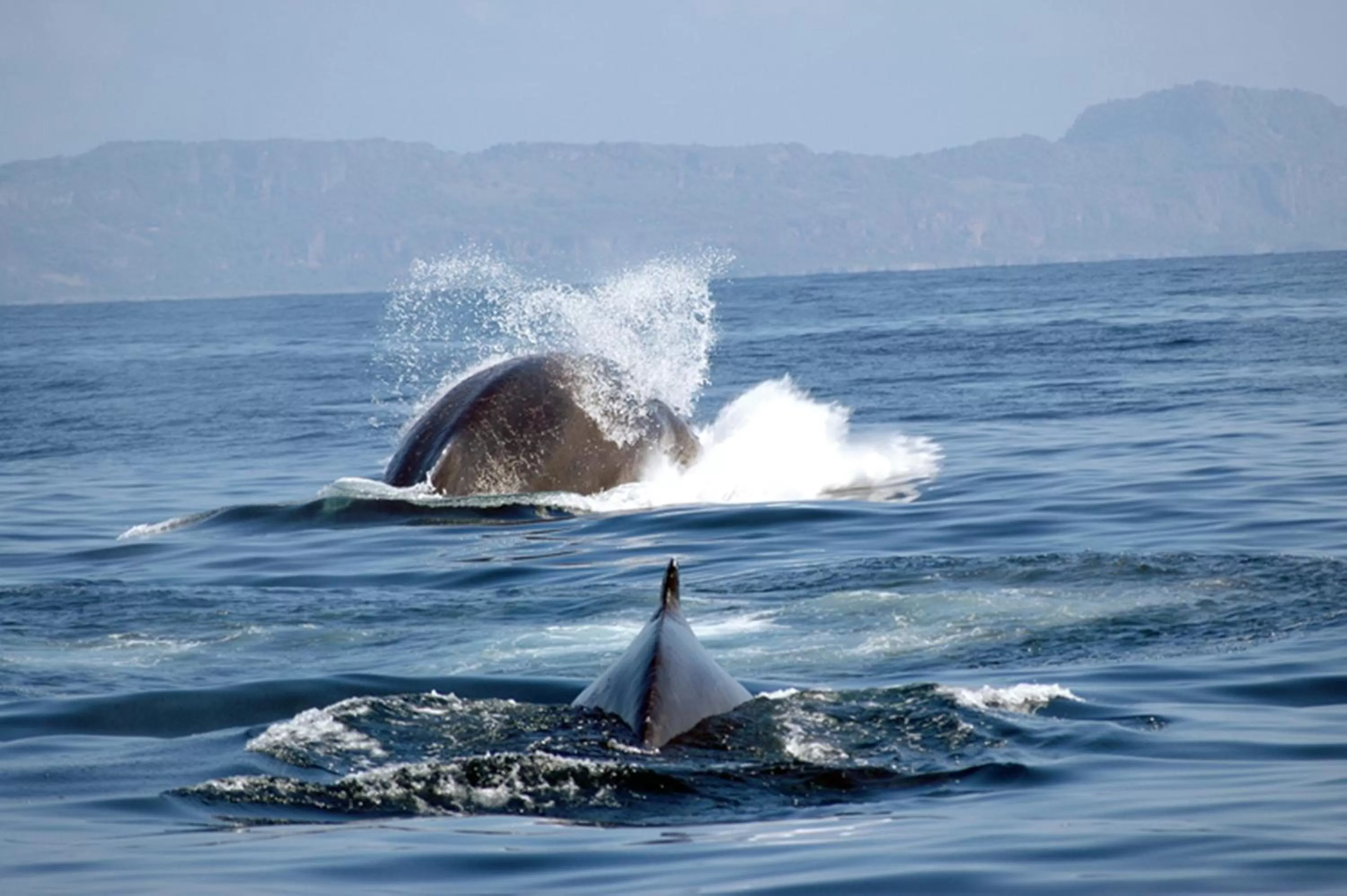 Off site in Sublime Samana