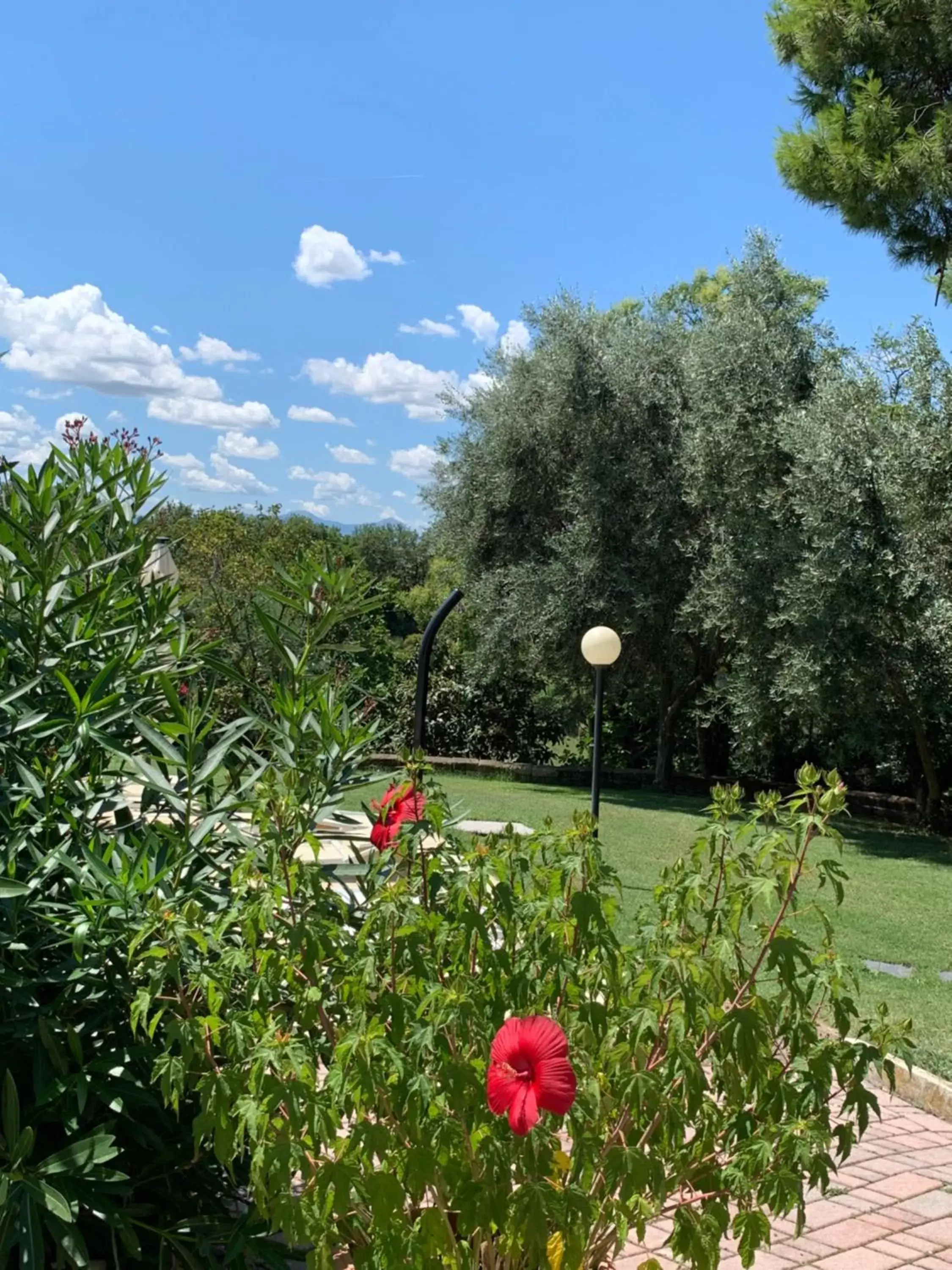 Garden in Il Lauro