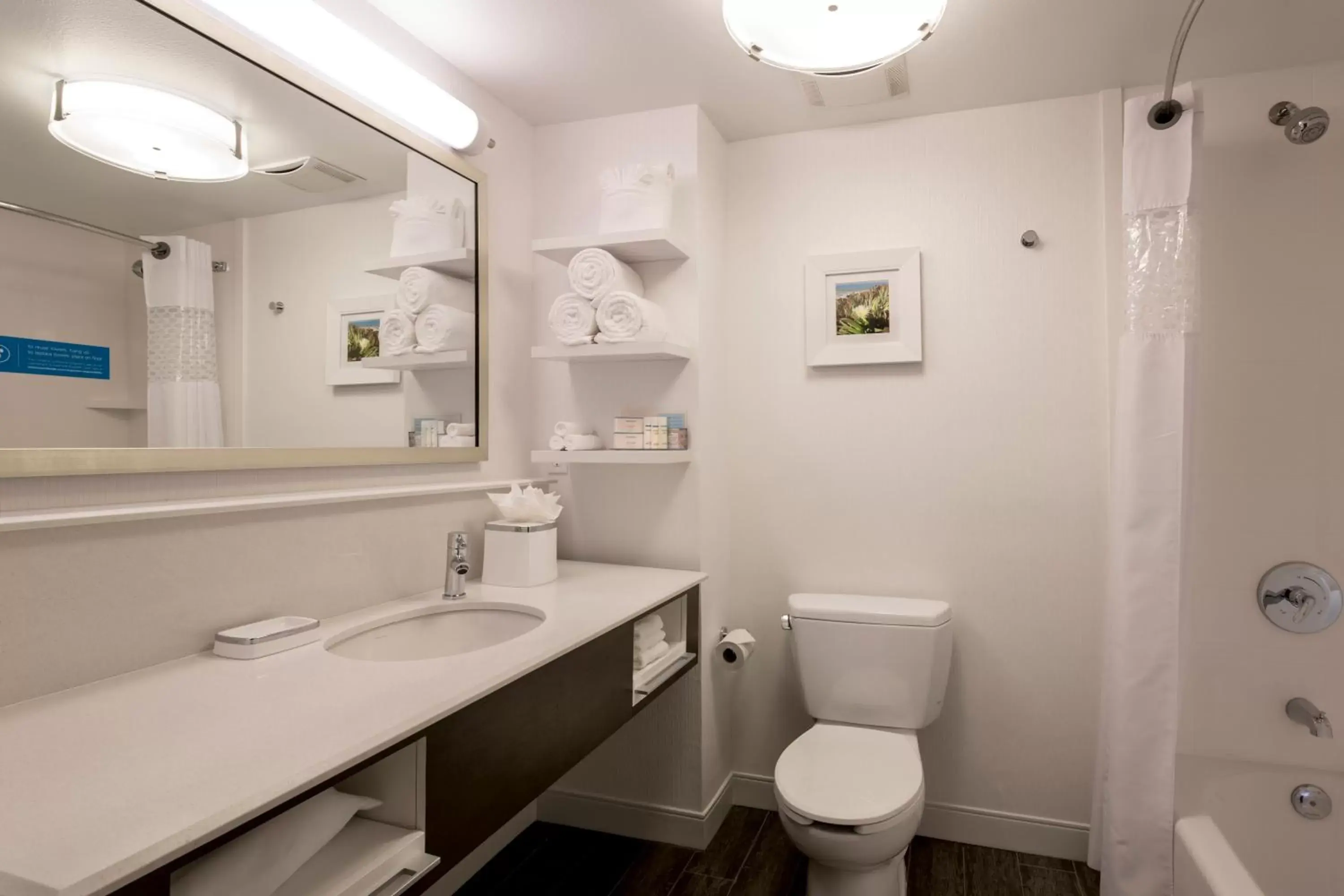 Toilet, Bathroom in Hampton Inn & Suites San Diego-Poway