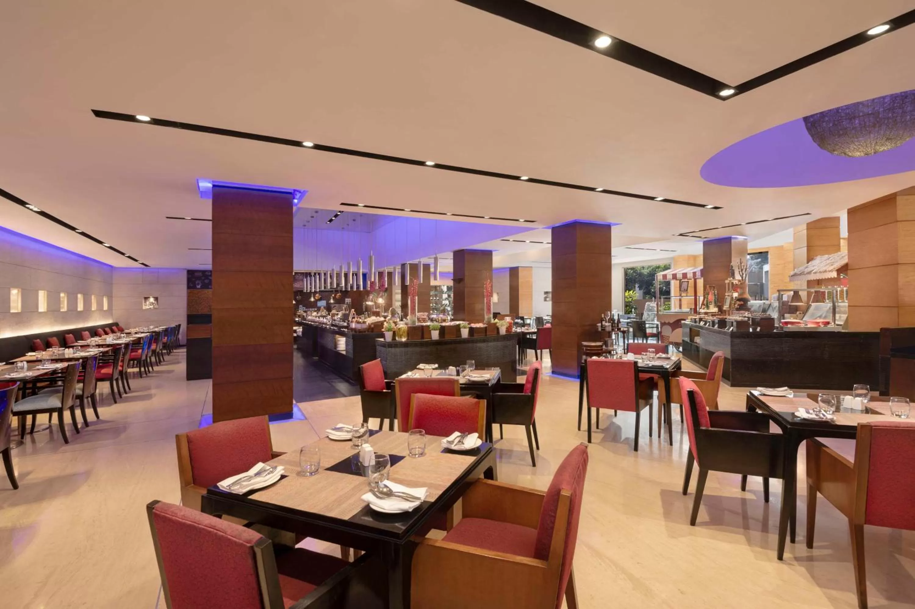Restaurant/places to eat in Radisson Blu Plaza Delhi Airport